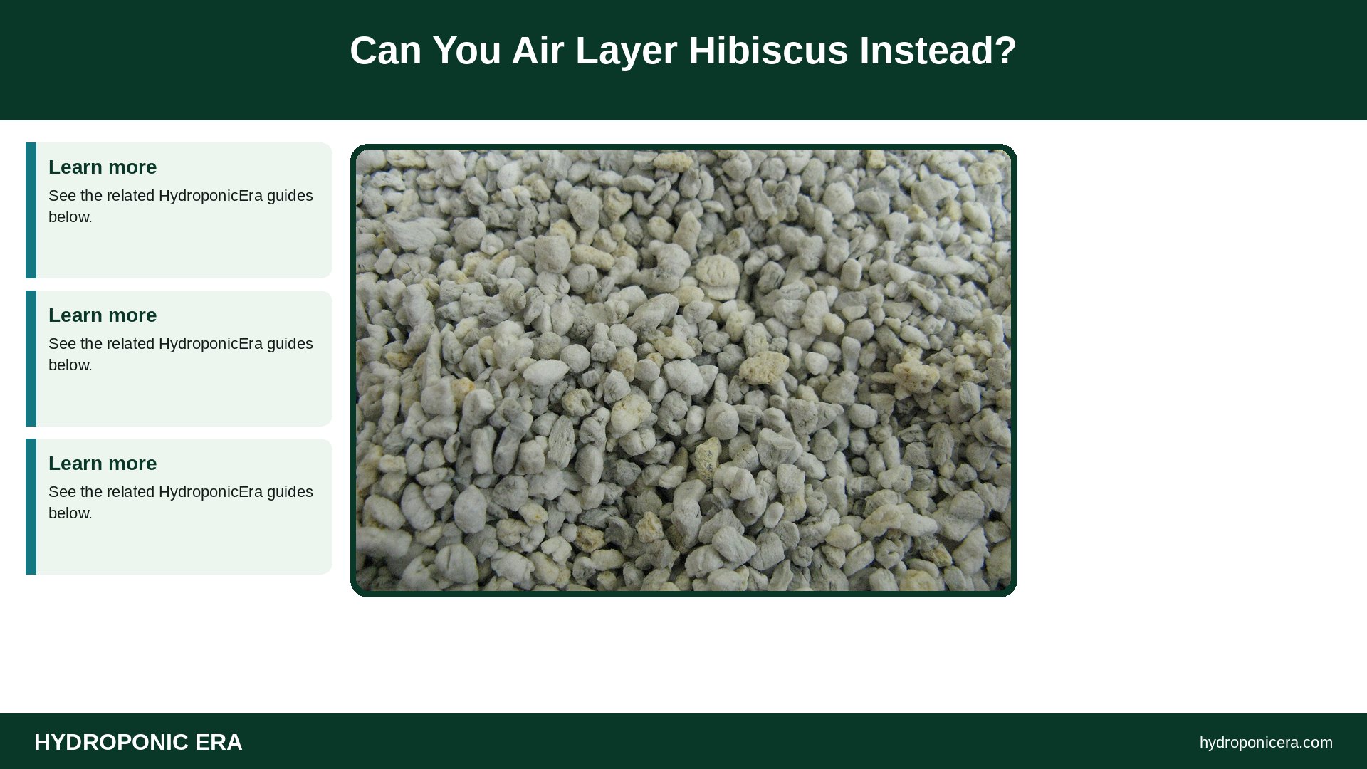hibiscus cuttings in water — Can You Air Layer Hibiscus Instead?