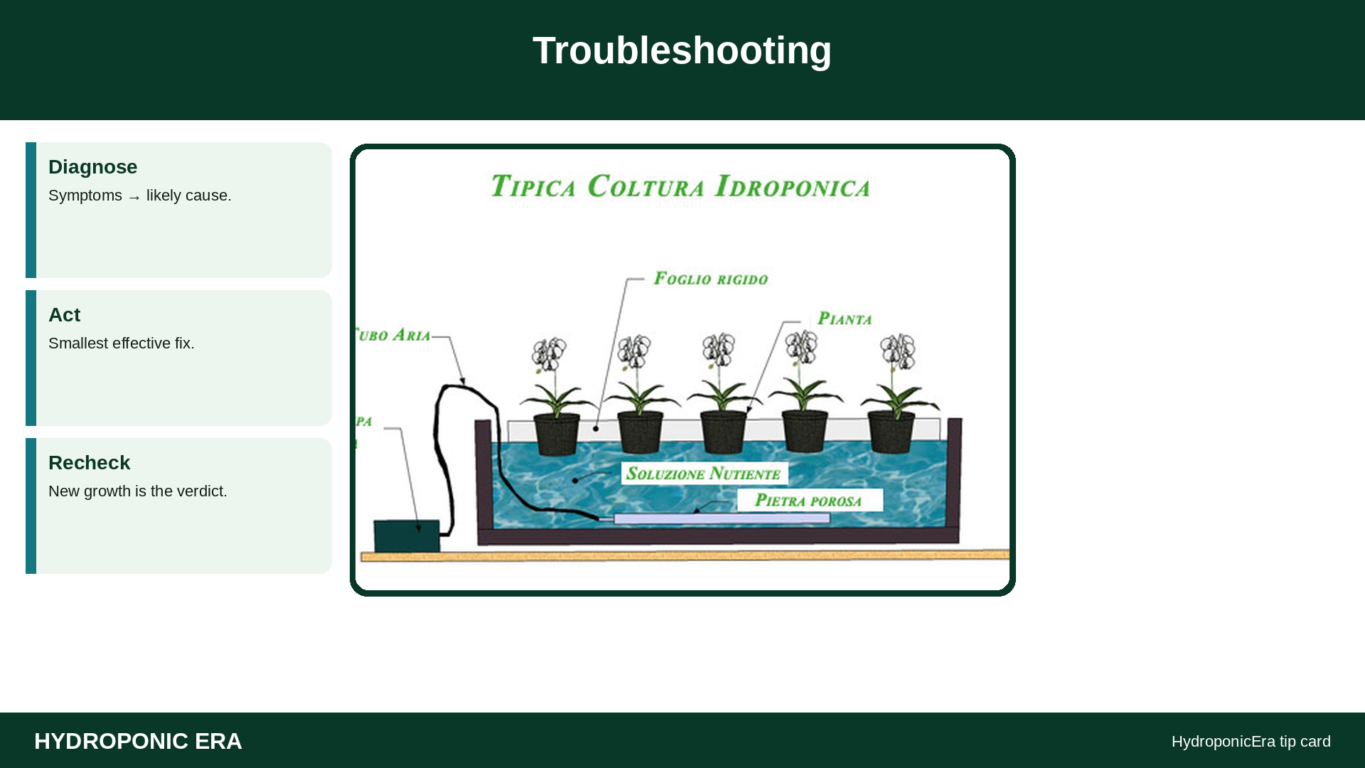 Troubleshooting — HydroponicEra tip card graphic