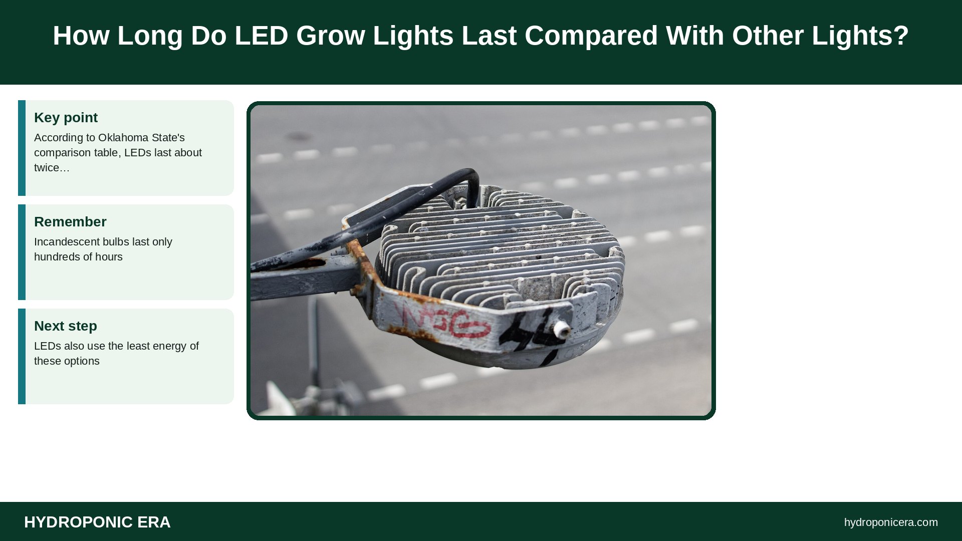how long do led grow lights last — How Long Do LED Grow Lights Last Compared With Other Lights?