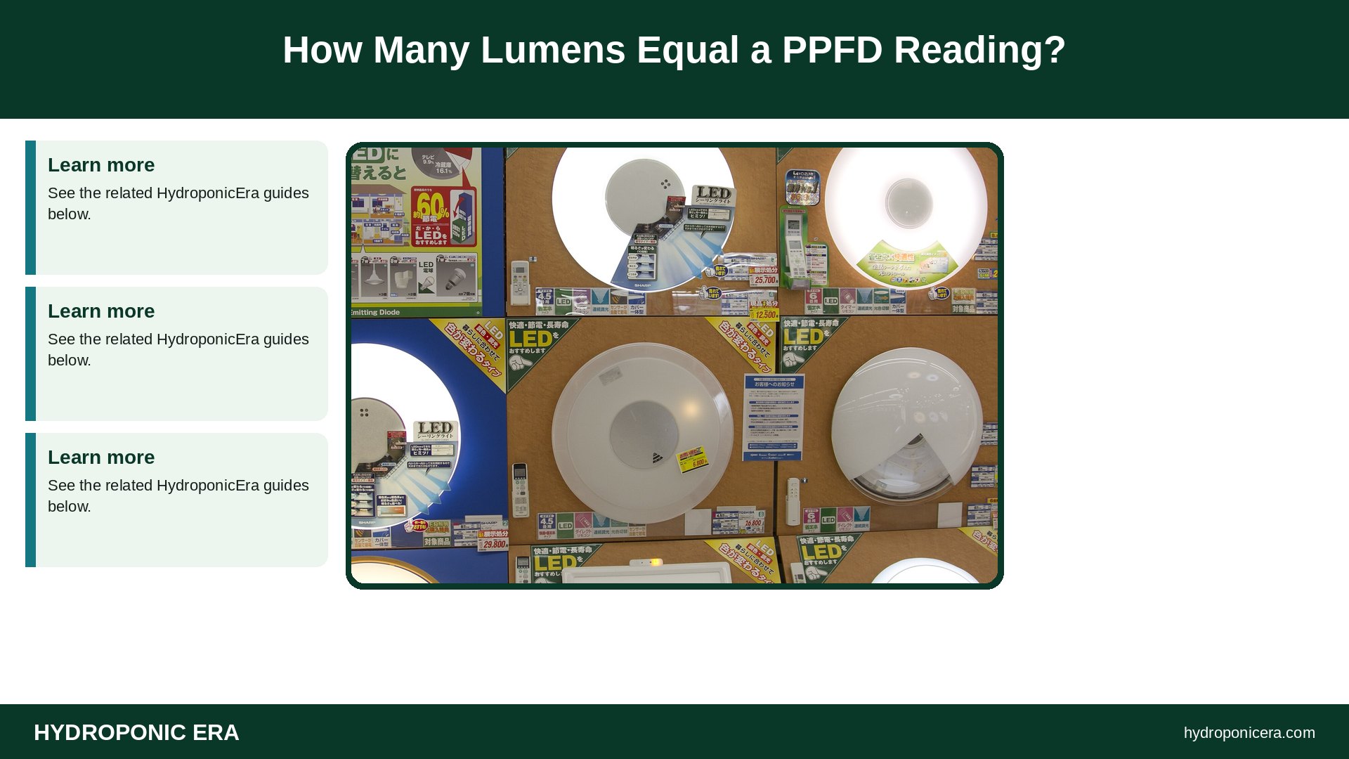 how many lumens — How Many Lumens Equal a PPFD Reading?