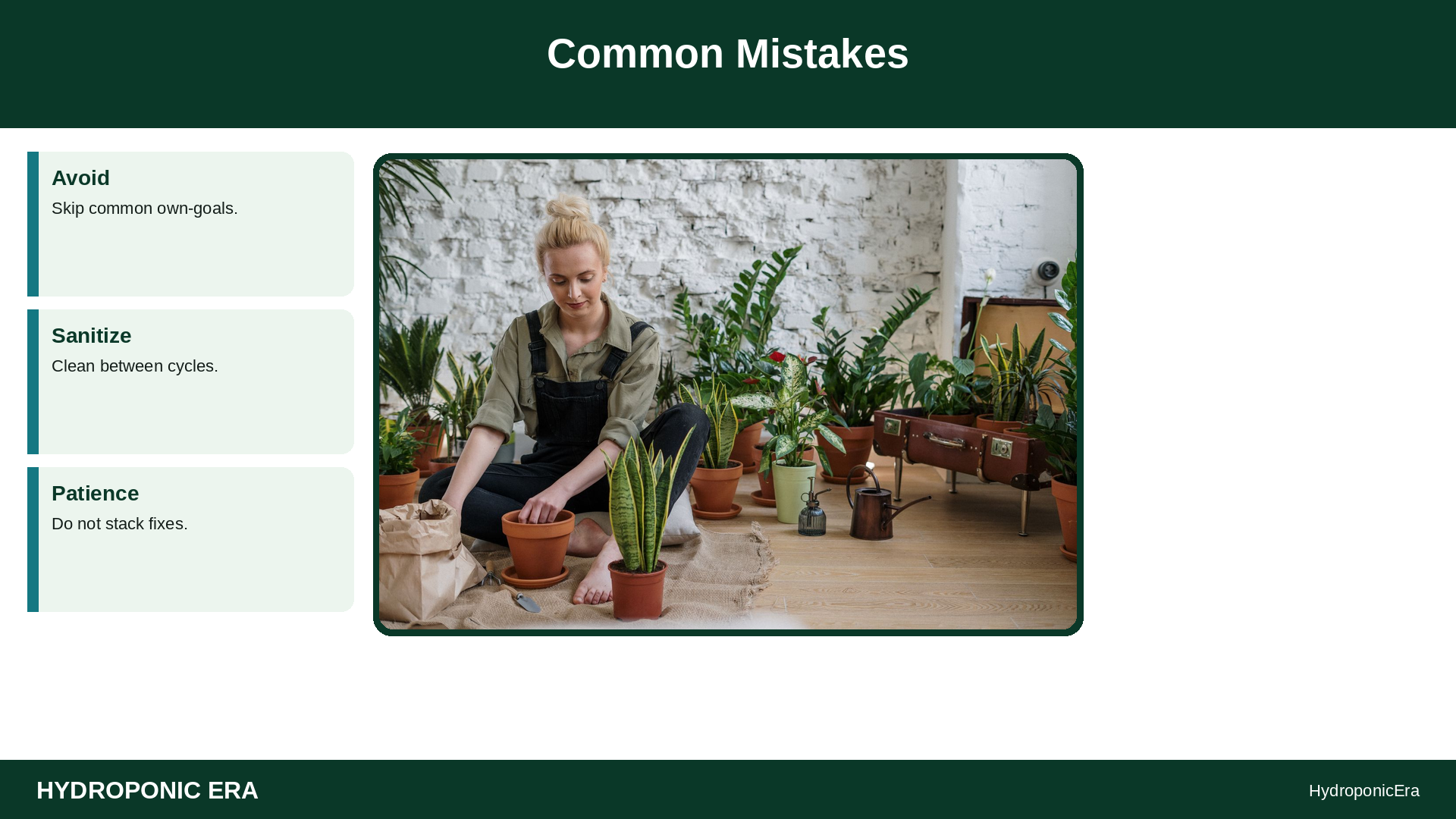 grow holy basil tulsi hydroponically — Common Mistakes