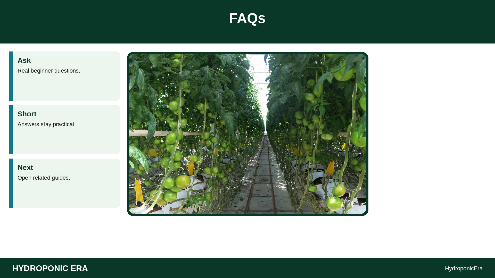grow tomatillos hydroponically — FAQs