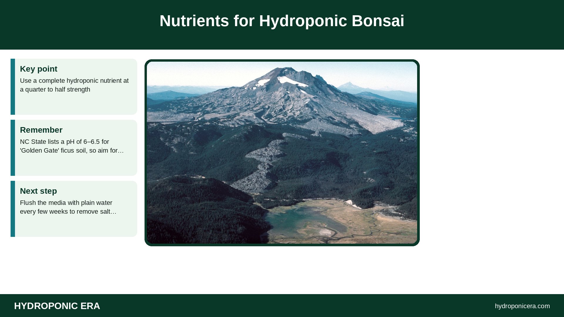 hydroponic bonsai — Nutrients for Hydroponic Bonsai