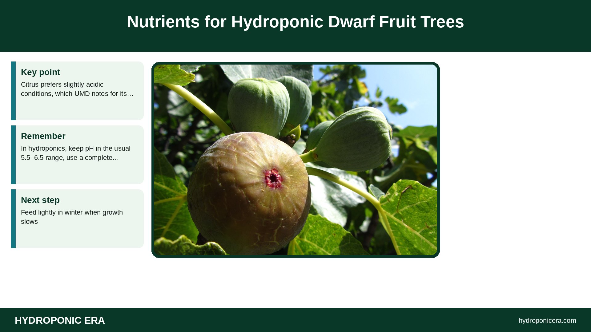 hydroponic dwarf fruit trees — Nutrients for Hydroponic Dwarf Fruit Trees