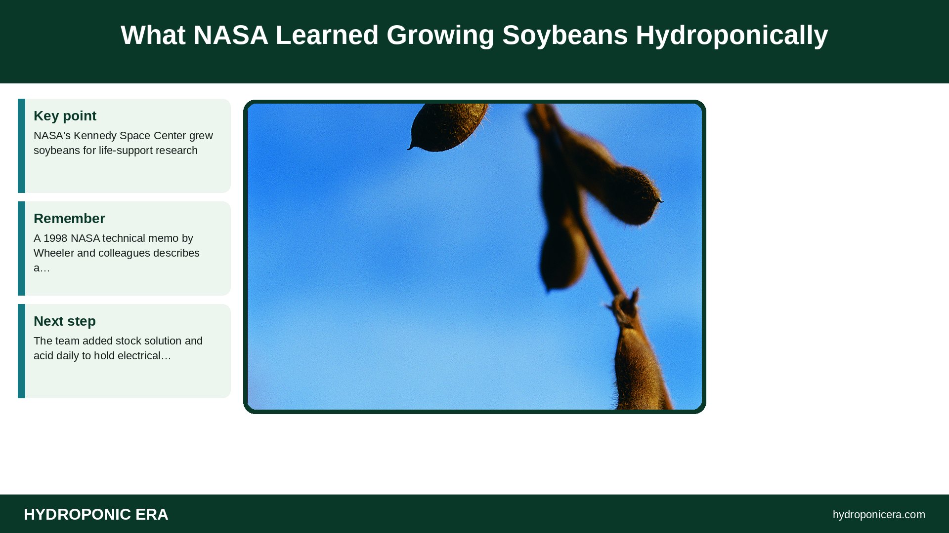 hydroponic edamame — What NASA Learned Growing Soybeans Hydroponically