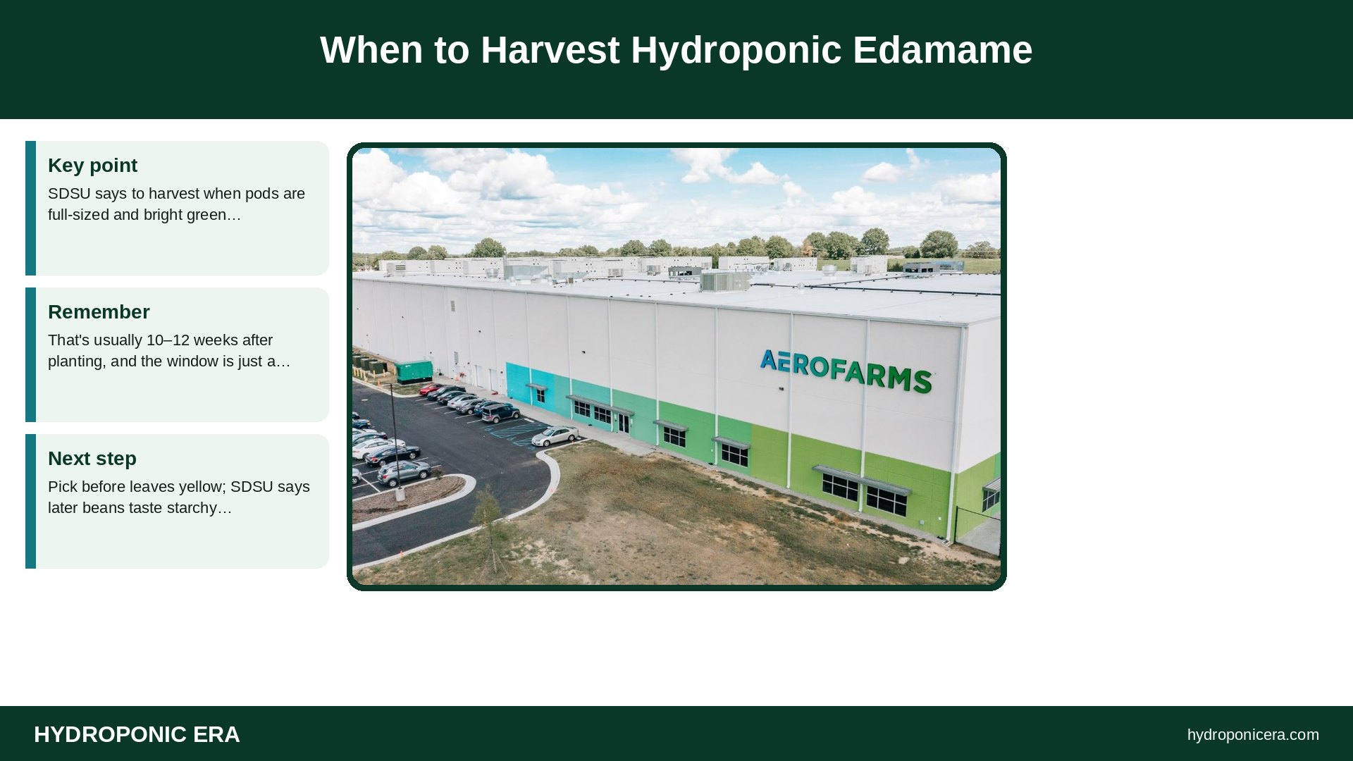 hydroponic edamame — When to Harvest Hydroponic Edamame