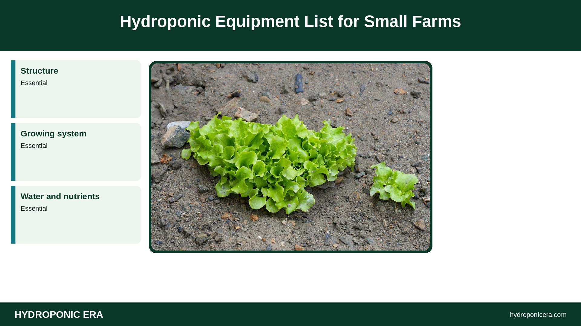 hydroponic equipment list — Hydroponic Equipment List for Small Farms