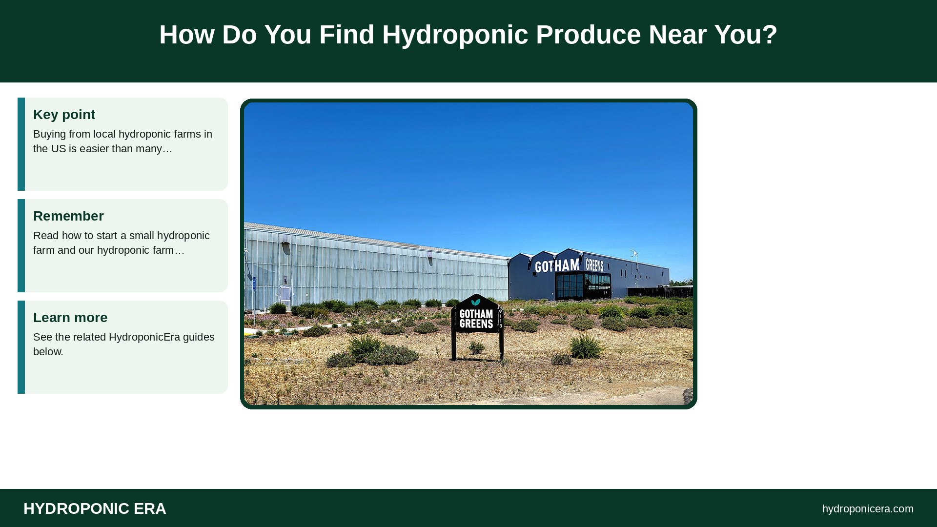 hydroponic farms in the us — How Do You Find Hydroponic Produce Near You?