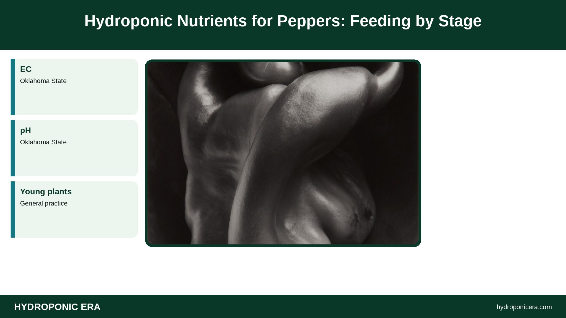 hydroponic nutrients for peppers — Hydroponic Nutrients for Peppers: Feeding by Stage