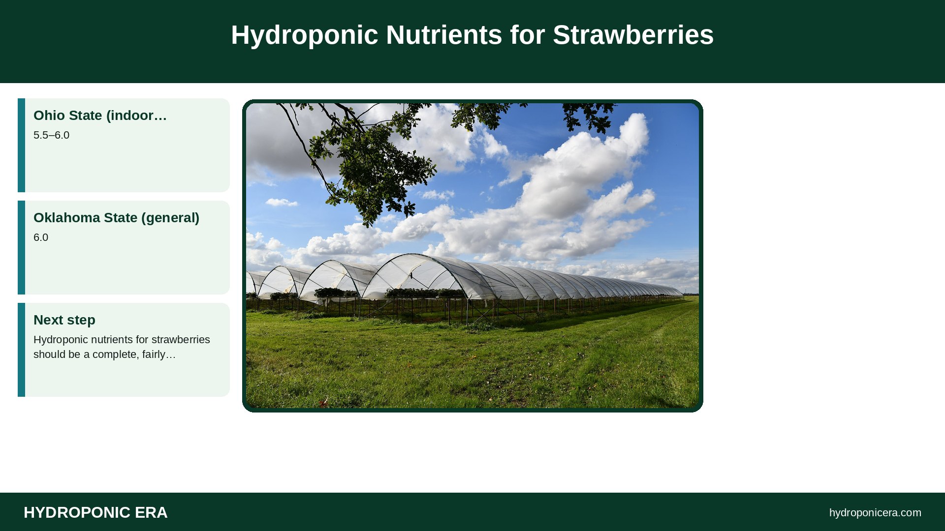 hydroponic nutrients for strawberries — Hydroponic Nutrients for Strawberries