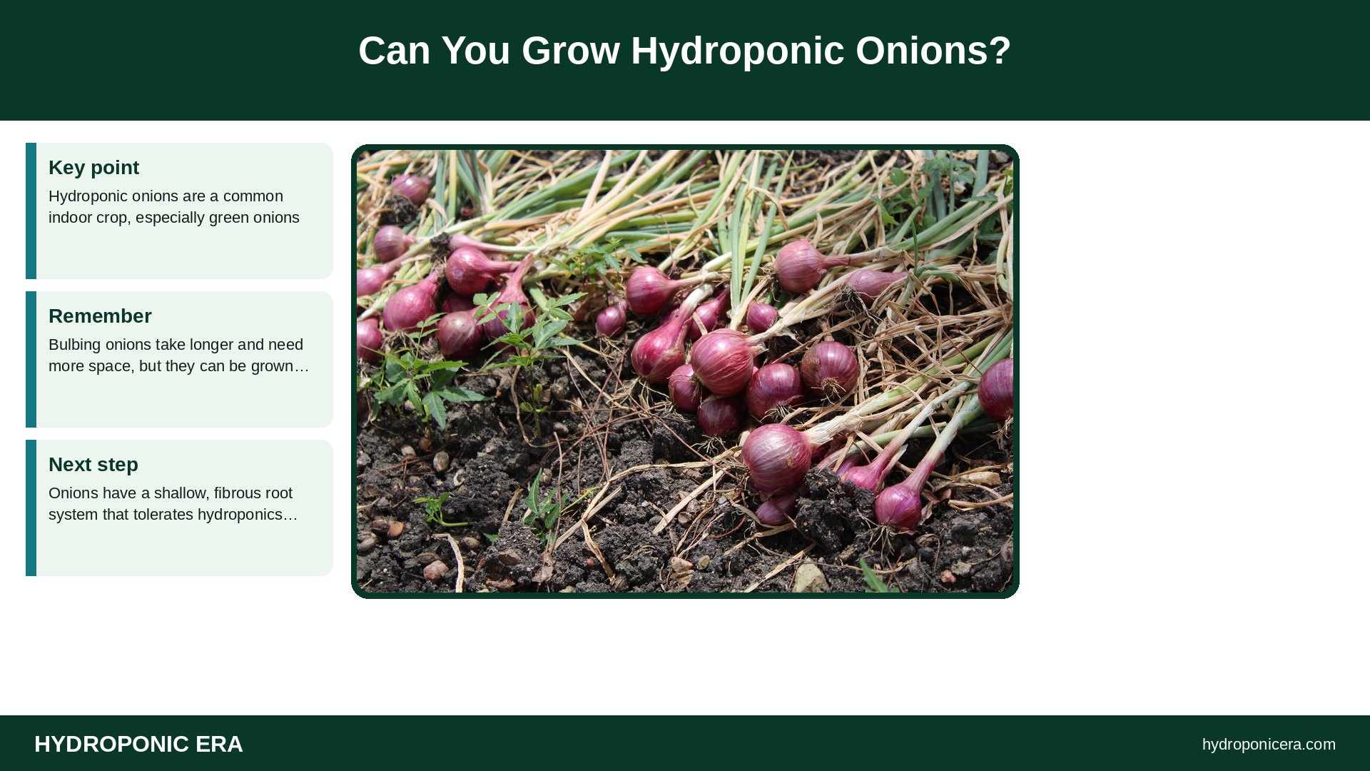 hydroponic onions — Can You Grow Hydroponic Onions?