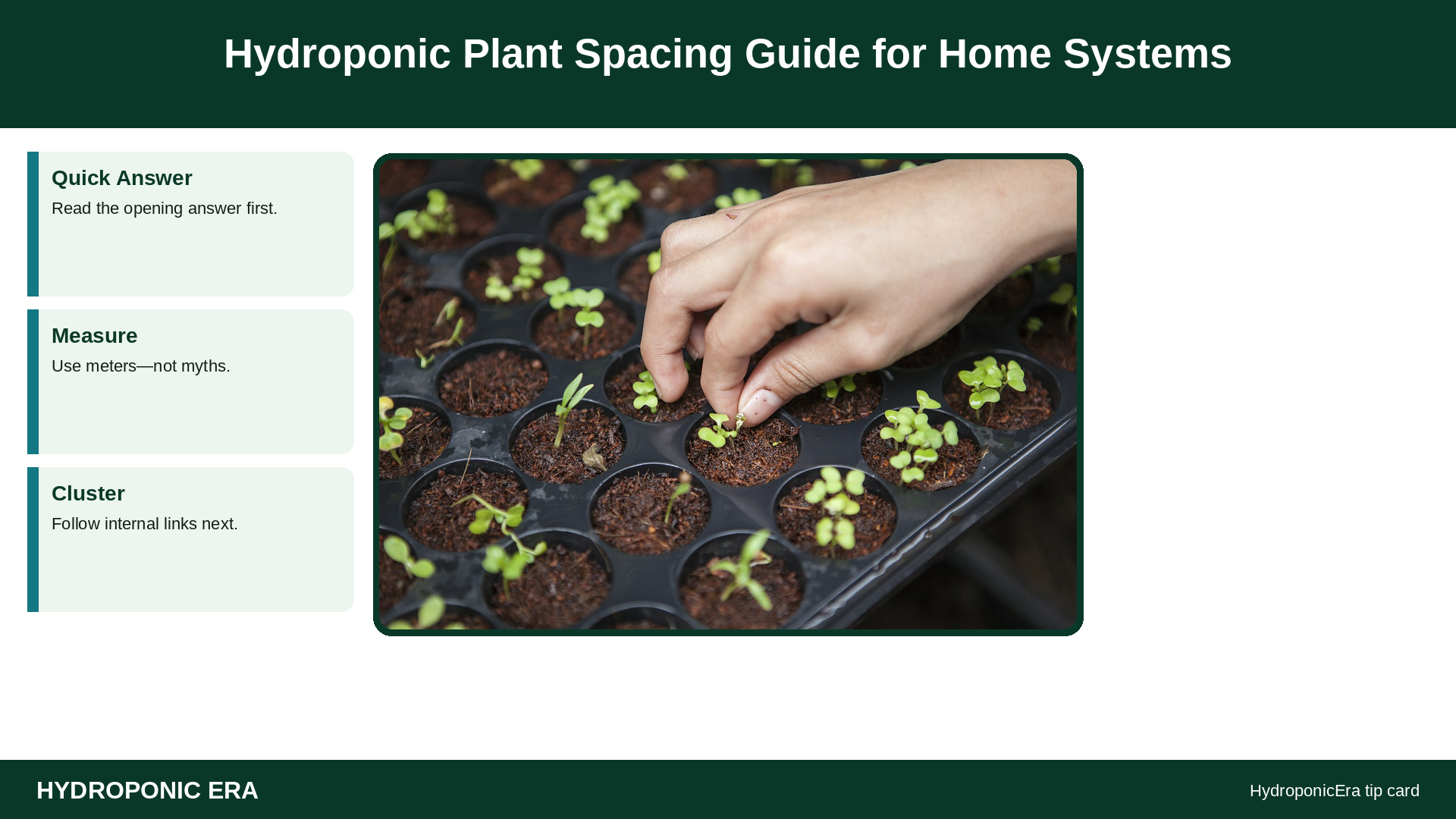 Hydroponic Plant Spacing Guide for Home Systems — HydroponicEra tip card graphic
