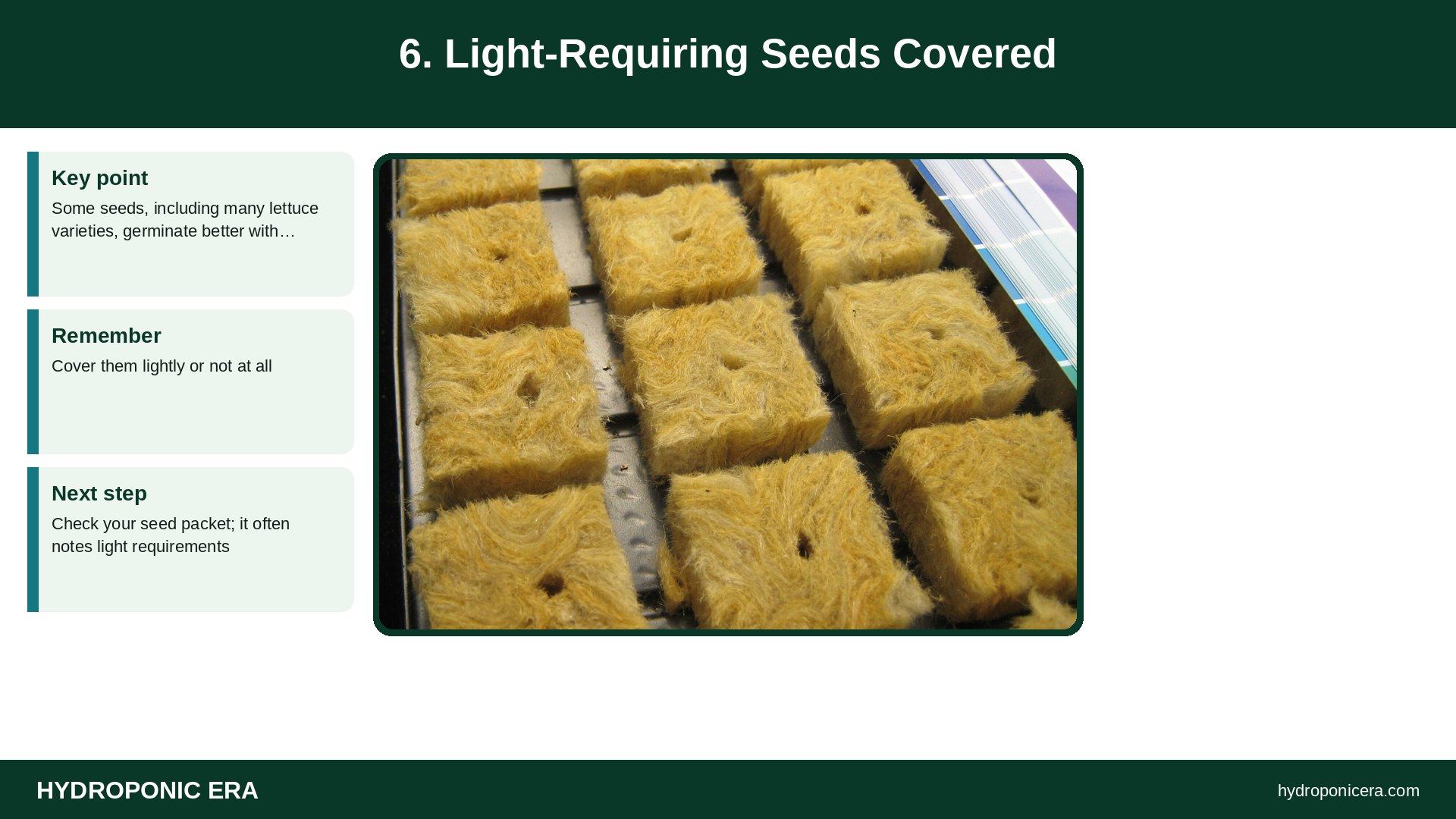 seeds not germinating — 6. Light-Requiring Seeds Covered