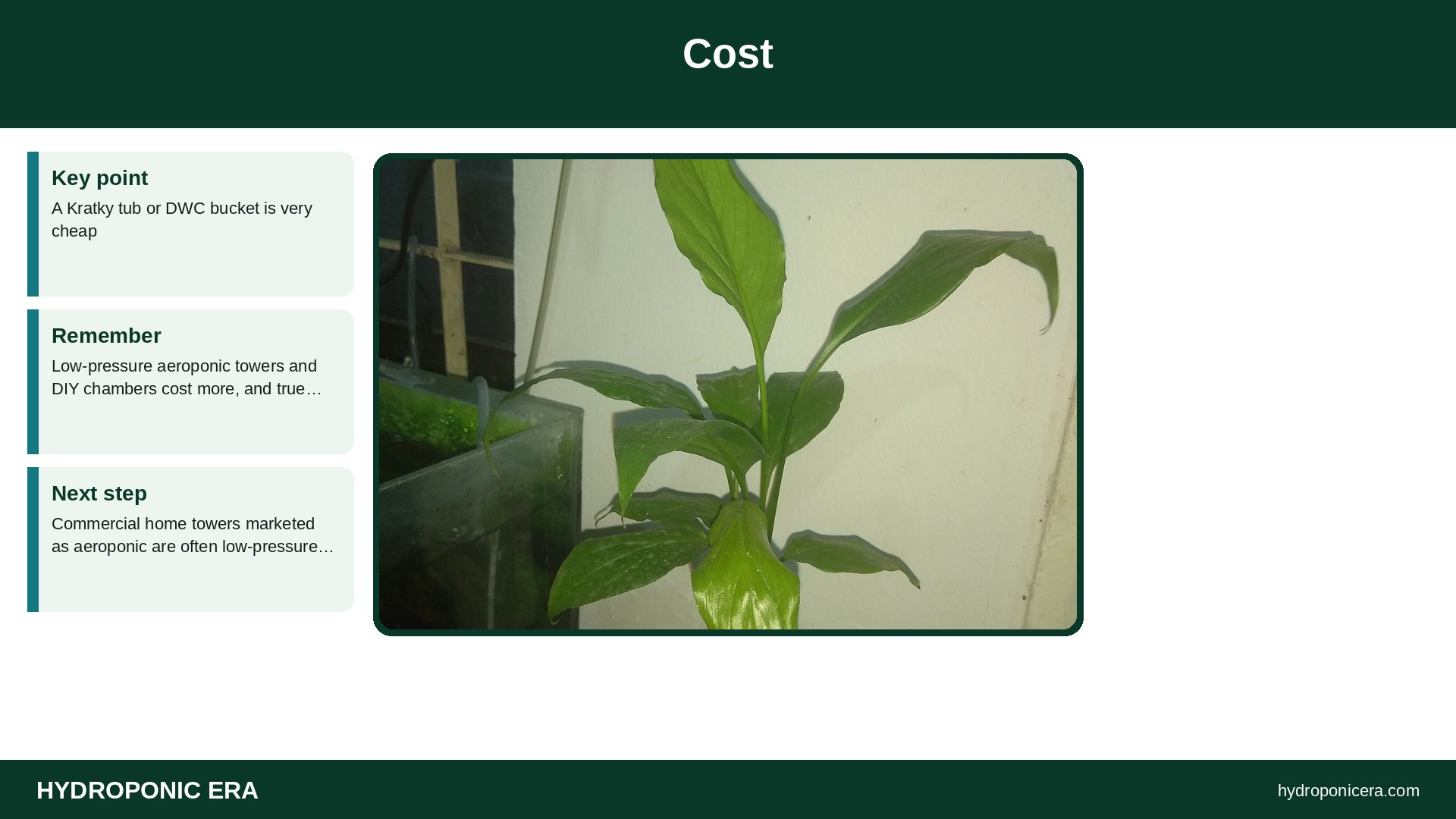 aeroponic — Cost