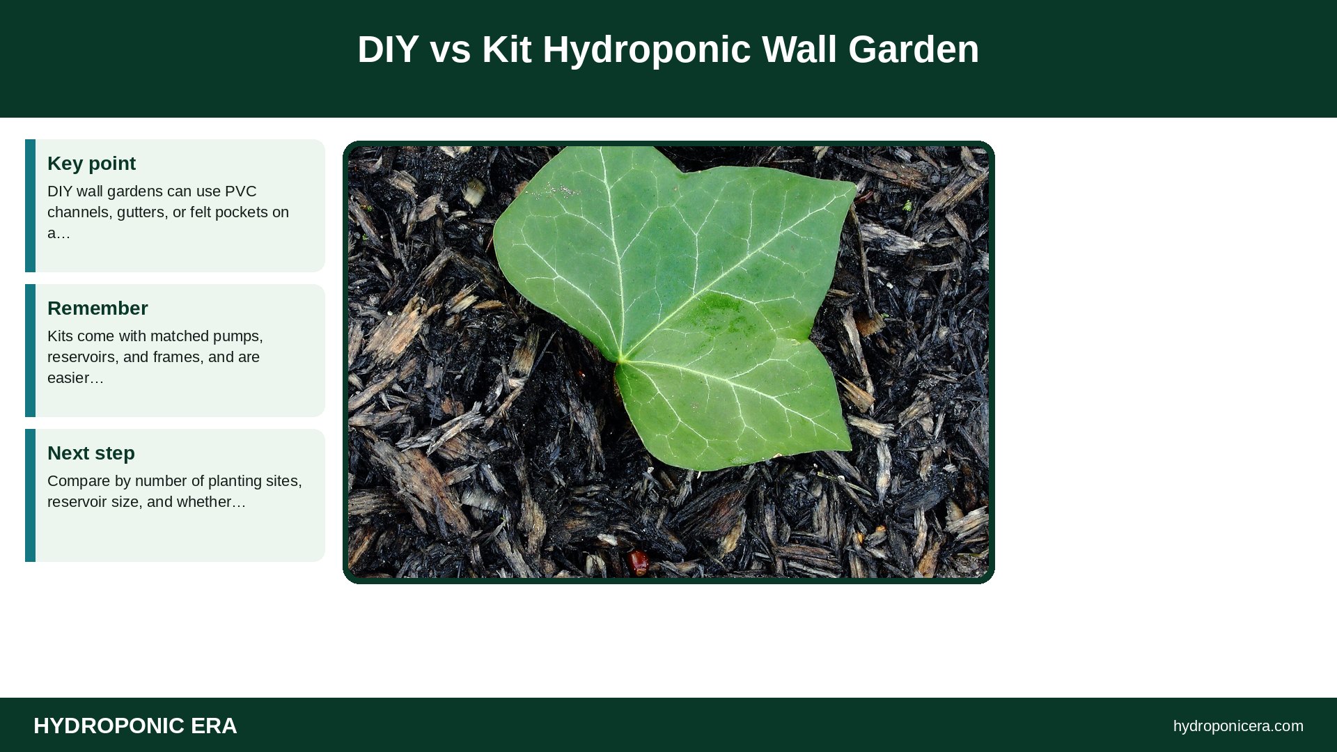 hydroponic wall garden — DIY vs Kit Hydroponic Wall Garden