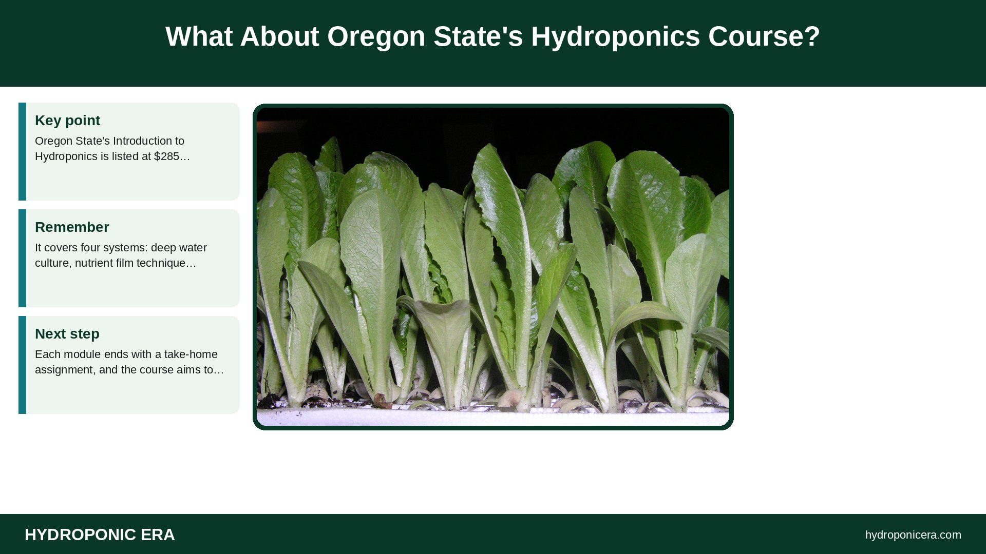 hydroponics course — What About Oregon State's Hydroponics Course?