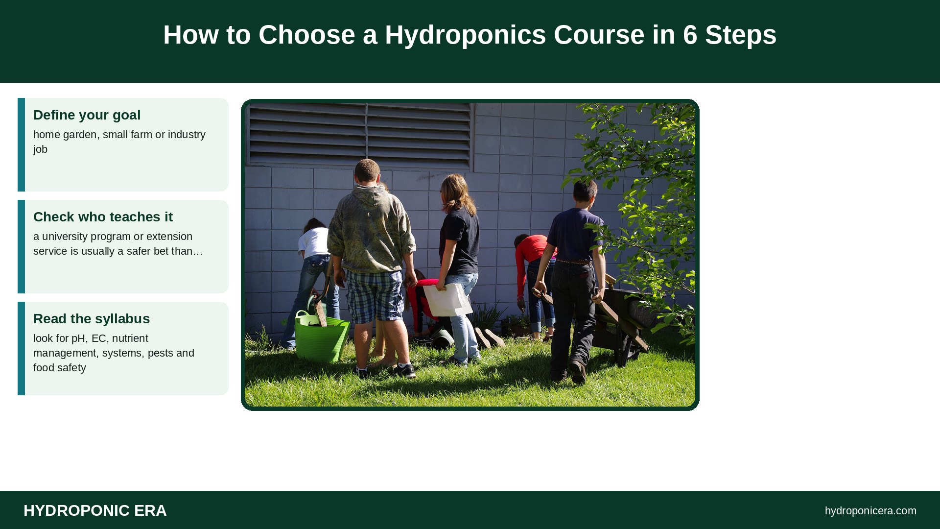 hydroponics course — How to Choose a Hydroponics Course in 6 Steps