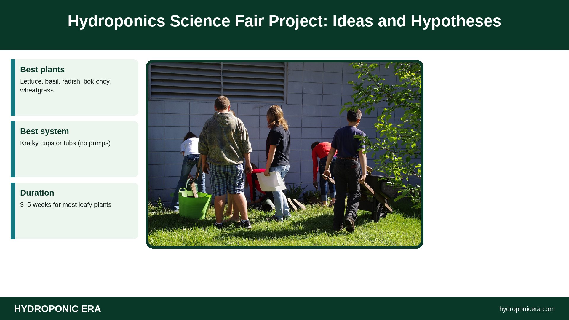 science fair — Hydroponics Science Fair Project: Ideas and Hypotheses