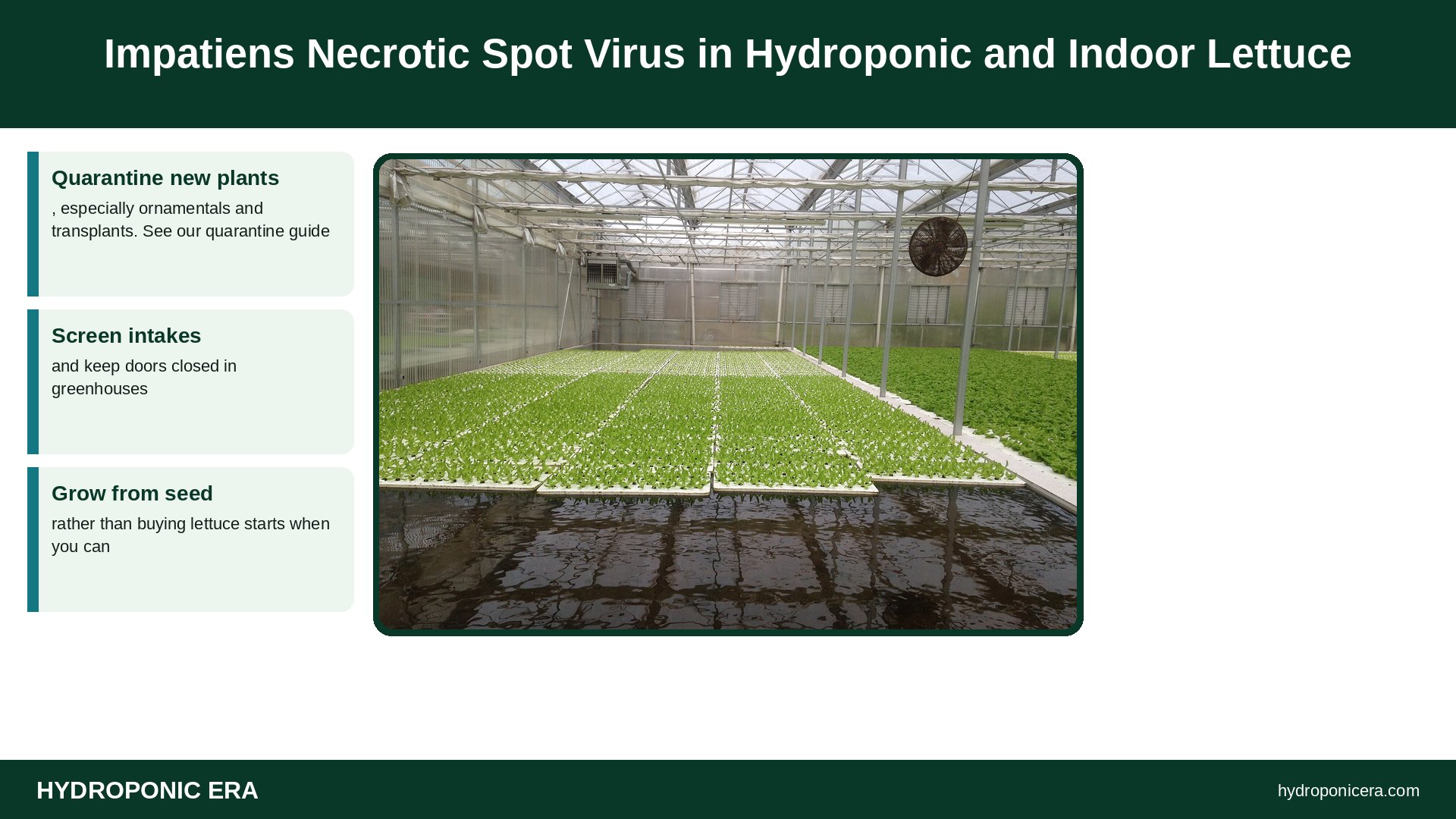impatiens necrotic spot virus — Impatiens Necrotic Spot Virus in Hydroponic and Indoor Lettuce