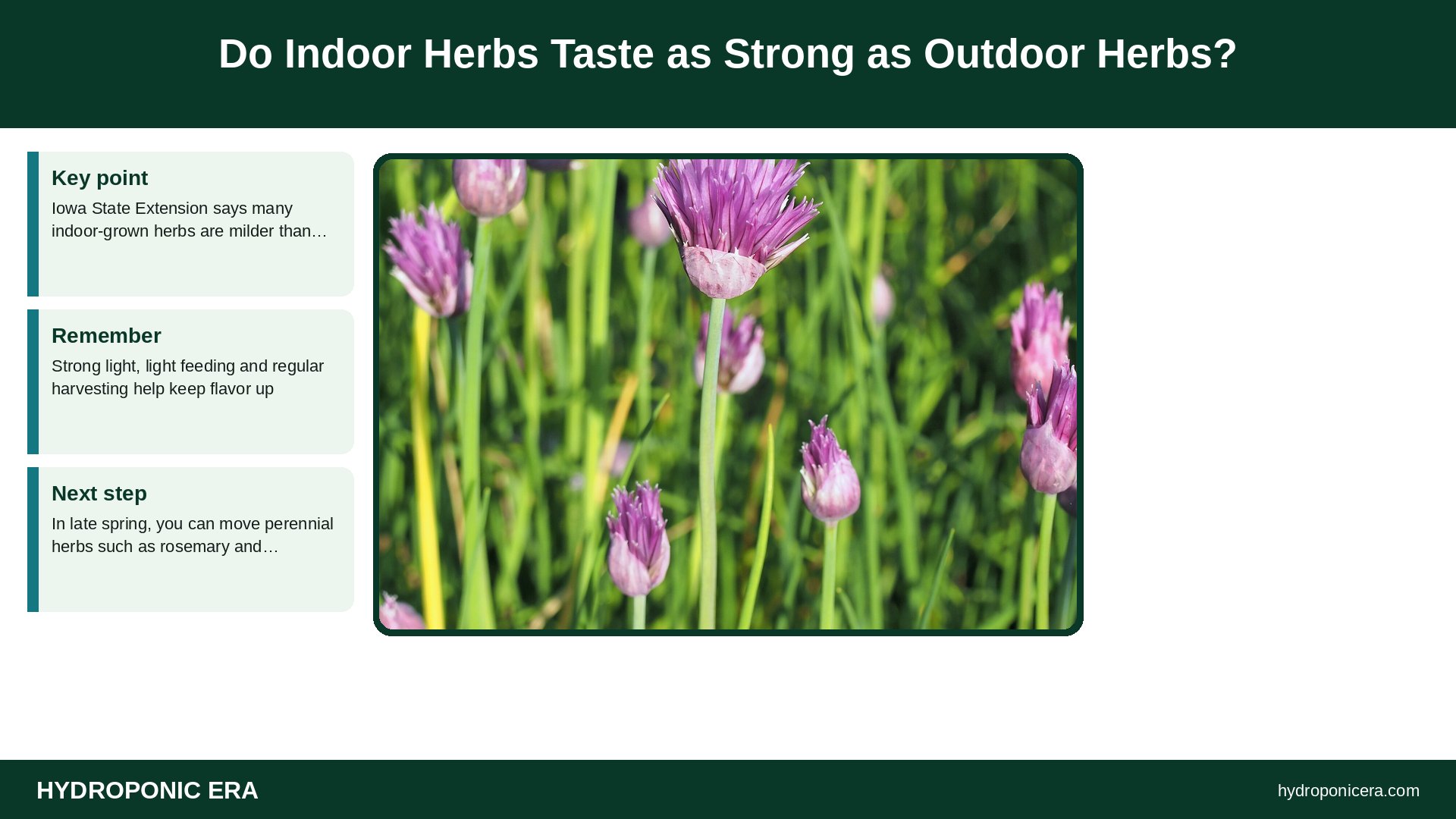indoor herb garden — Do Indoor Herbs Taste as Strong as Outdoor Herbs?