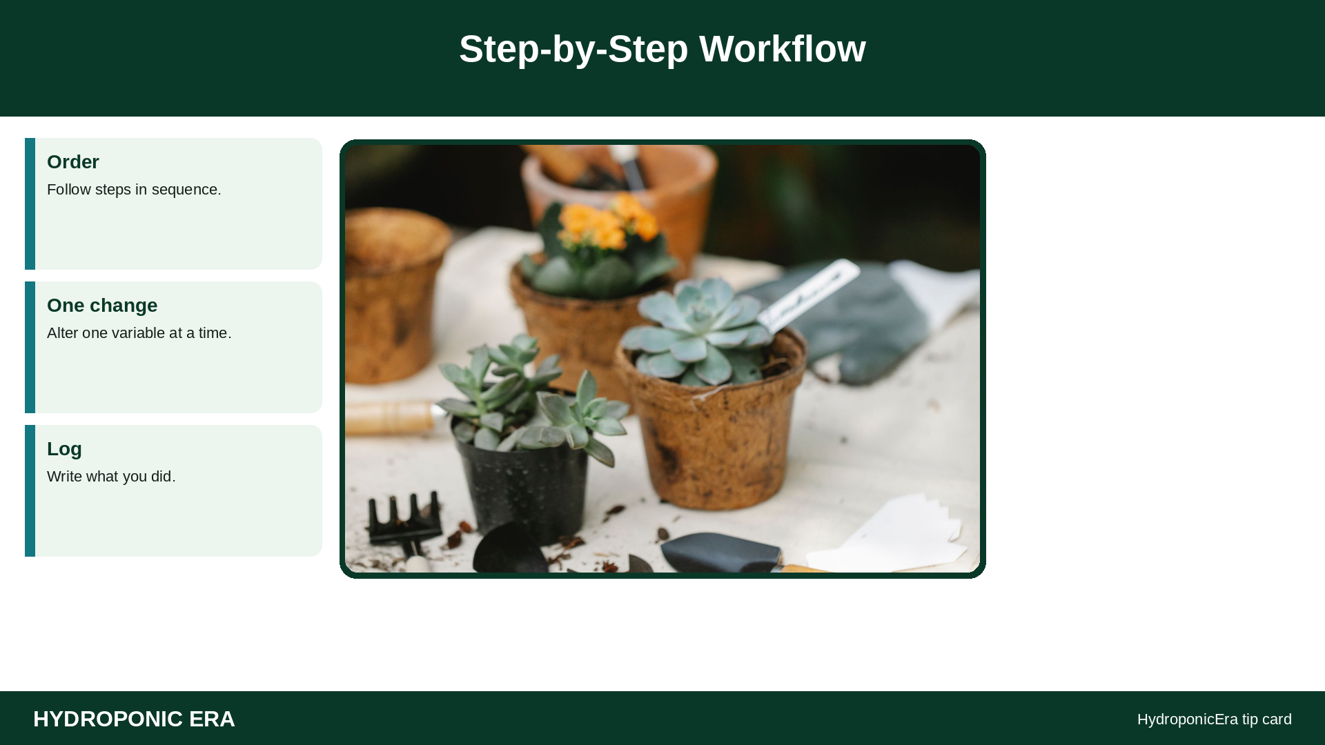Step-by-Step Workflow — HydroponicEra tip card graphic