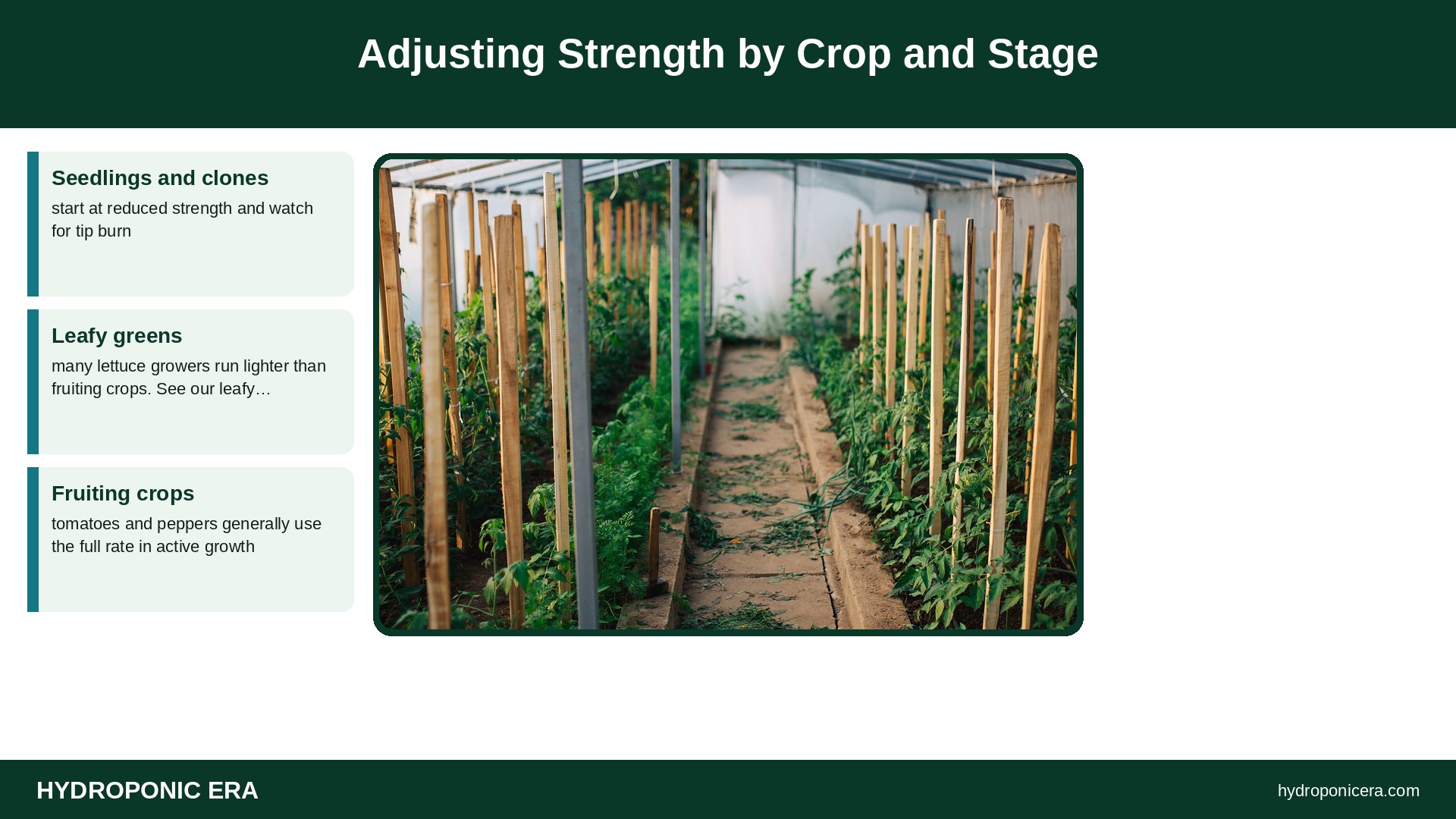 jacks 321 — Adjusting Strength by Crop and Stage