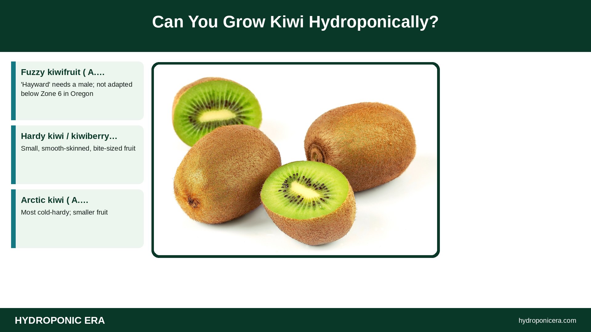 kiwi hydroponics — Can You Grow Kiwi Hydroponically?