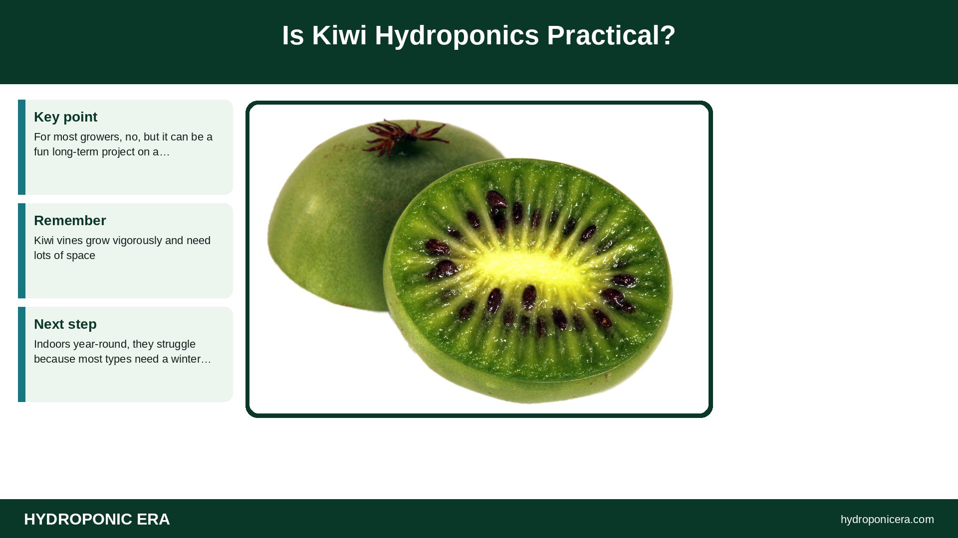 kiwi hydroponics — Is Kiwi Hydroponics Practical?