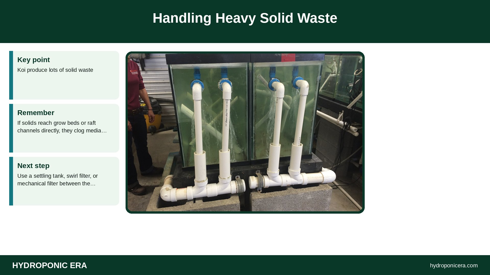koi aquaponics — Handling Heavy Solid Waste