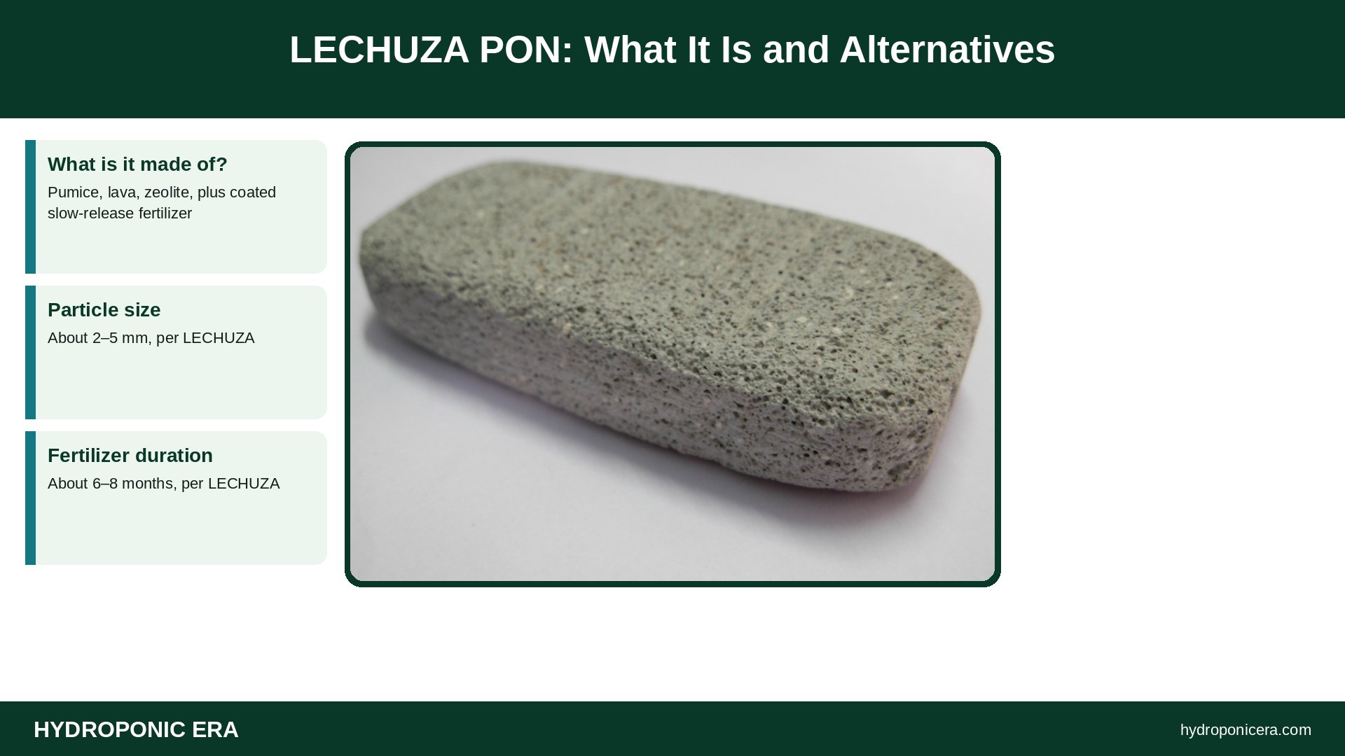 lechuza pon — LECHUZA PON: What It Is and Alternatives