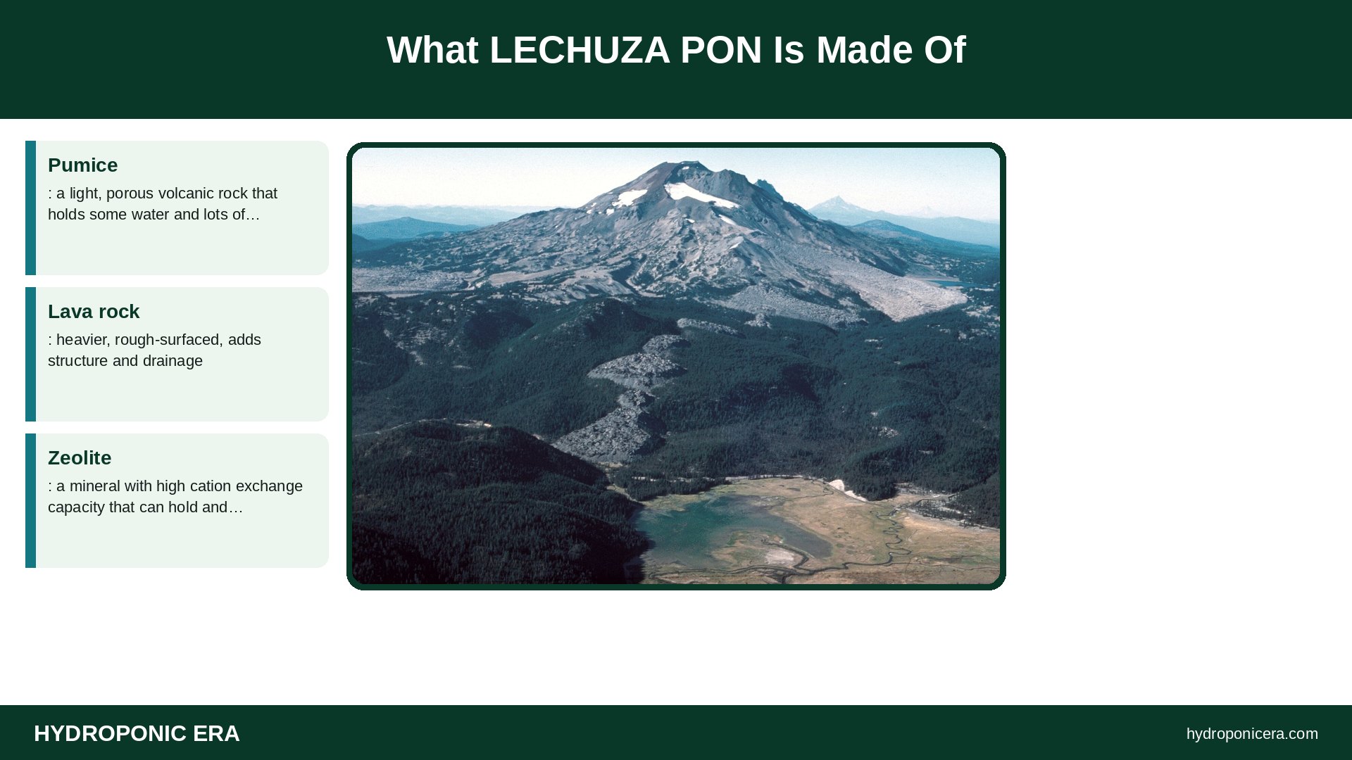 lechuza pon — What LECHUZA PON Is Made Of