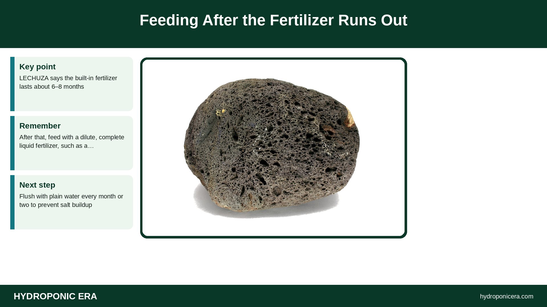 lechuza pon — Feeding After the Fertilizer Runs Out