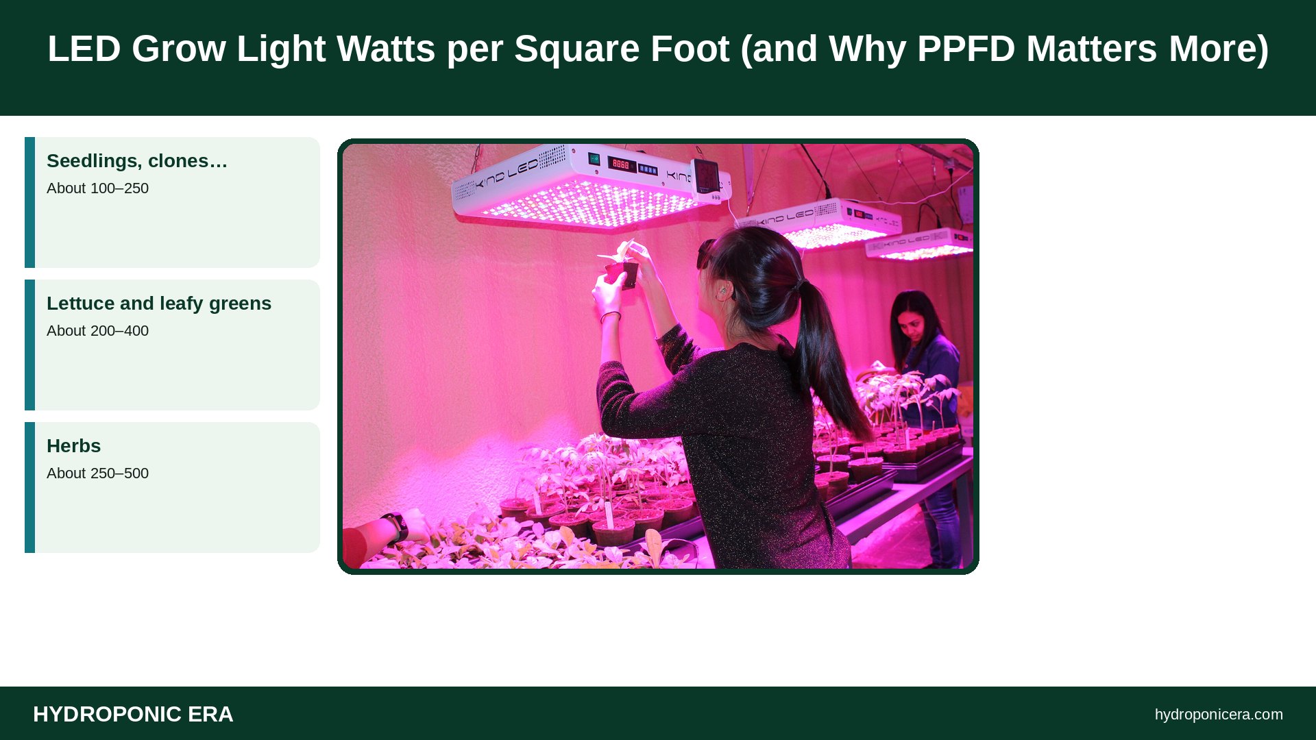 watts per square foot — LED Grow Light Watts per Square Foot (and Why PPFD Matters More)
