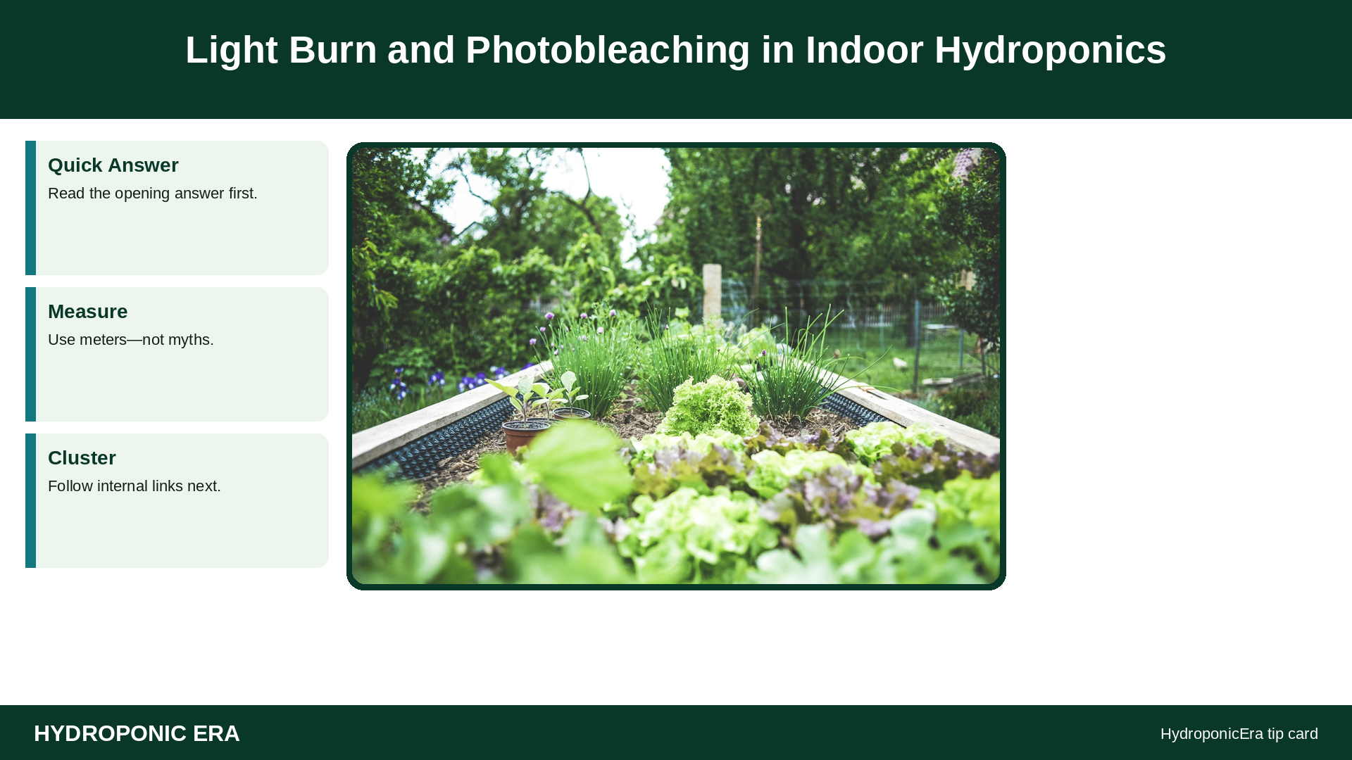 Light Burn and Photobleaching in Indoor Hydroponics — HydroponicEra tip card graphic