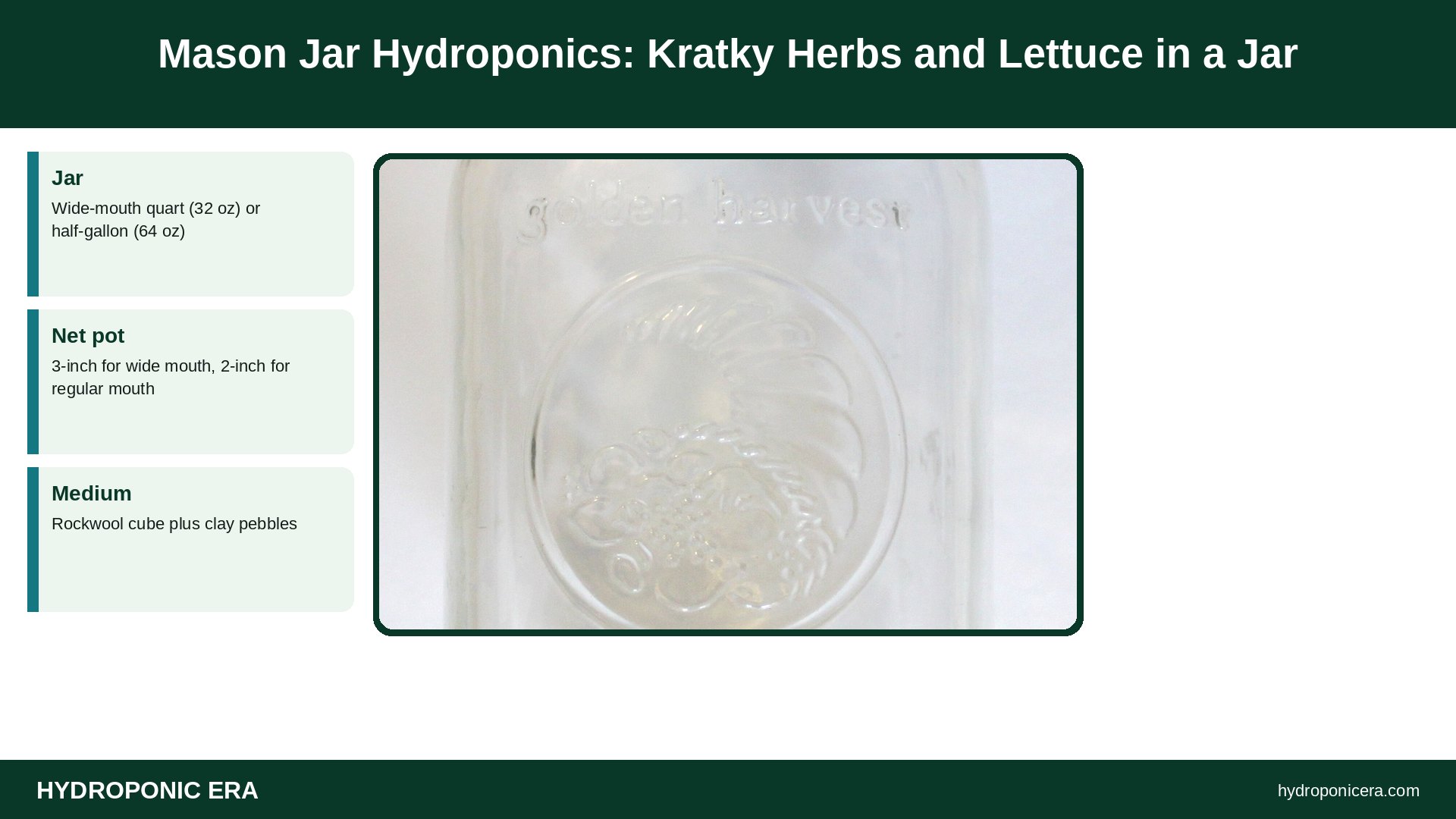 mason jar hydroponics — Mason Jar Hydroponics: Kratky Herbs and Lettuce in a Jar
