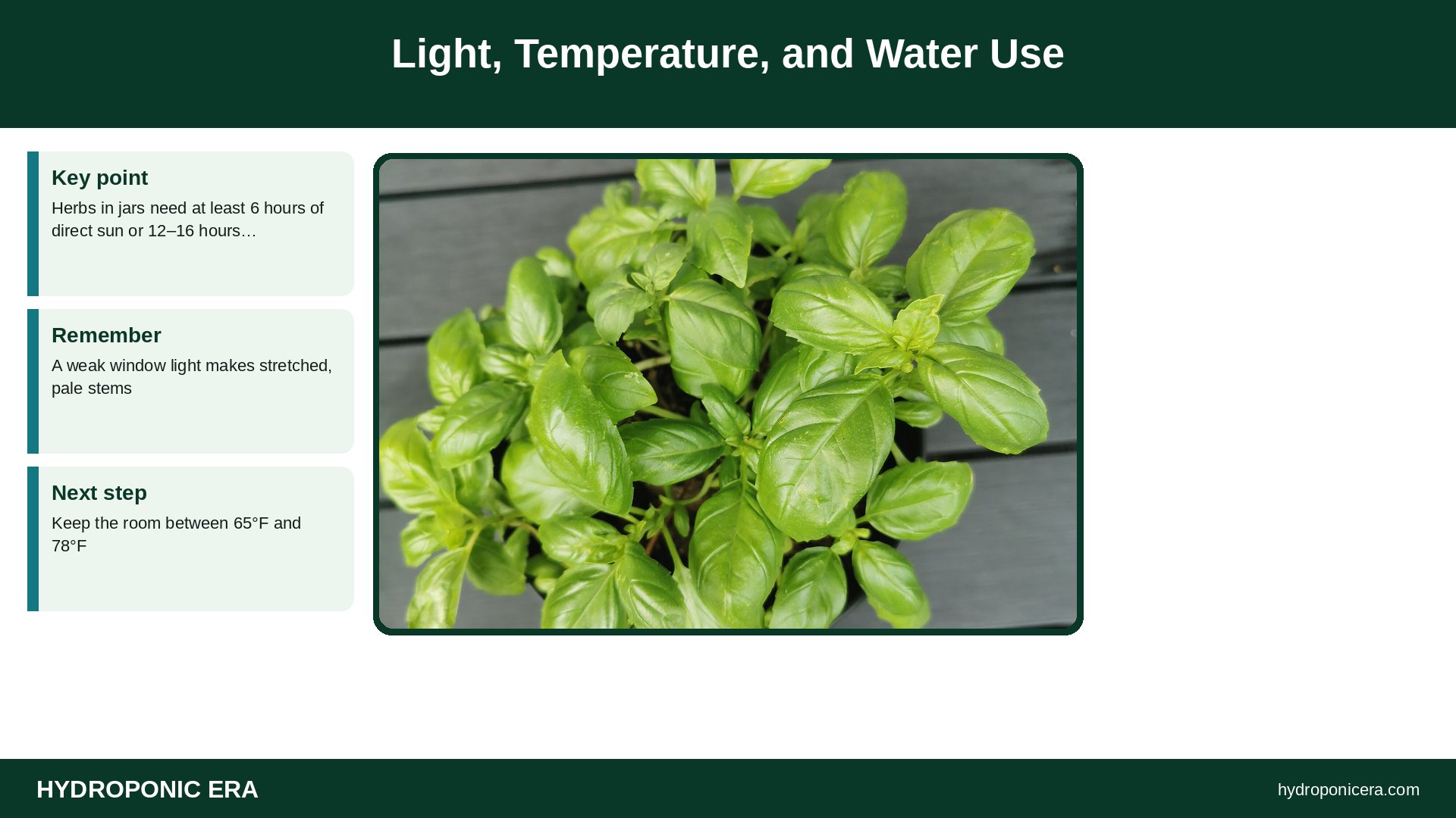 mason jar hydroponics — Light, Temperature, and Water Use