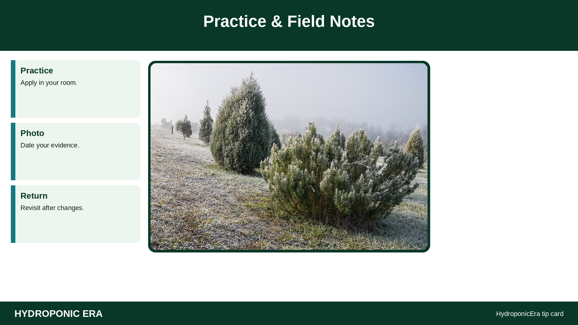 Practice & Field Notes — HydroponicEra tip card graphic