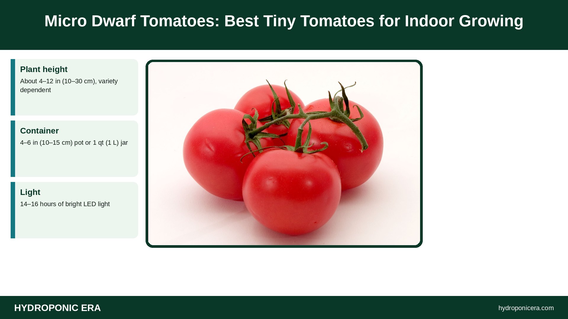micro dwarf tomatoes — Micro Dwarf Tomatoes: Best Tiny Tomatoes for Indoor Growing