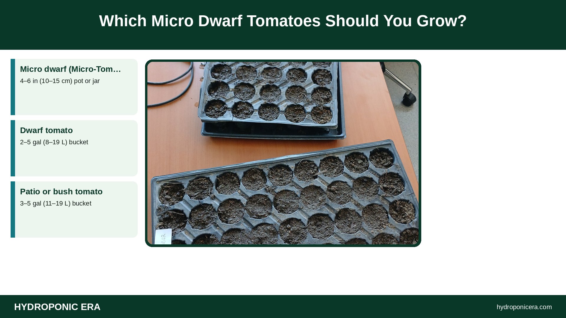 micro dwarf tomatoes — Which Micro Dwarf Tomatoes Should You Grow?