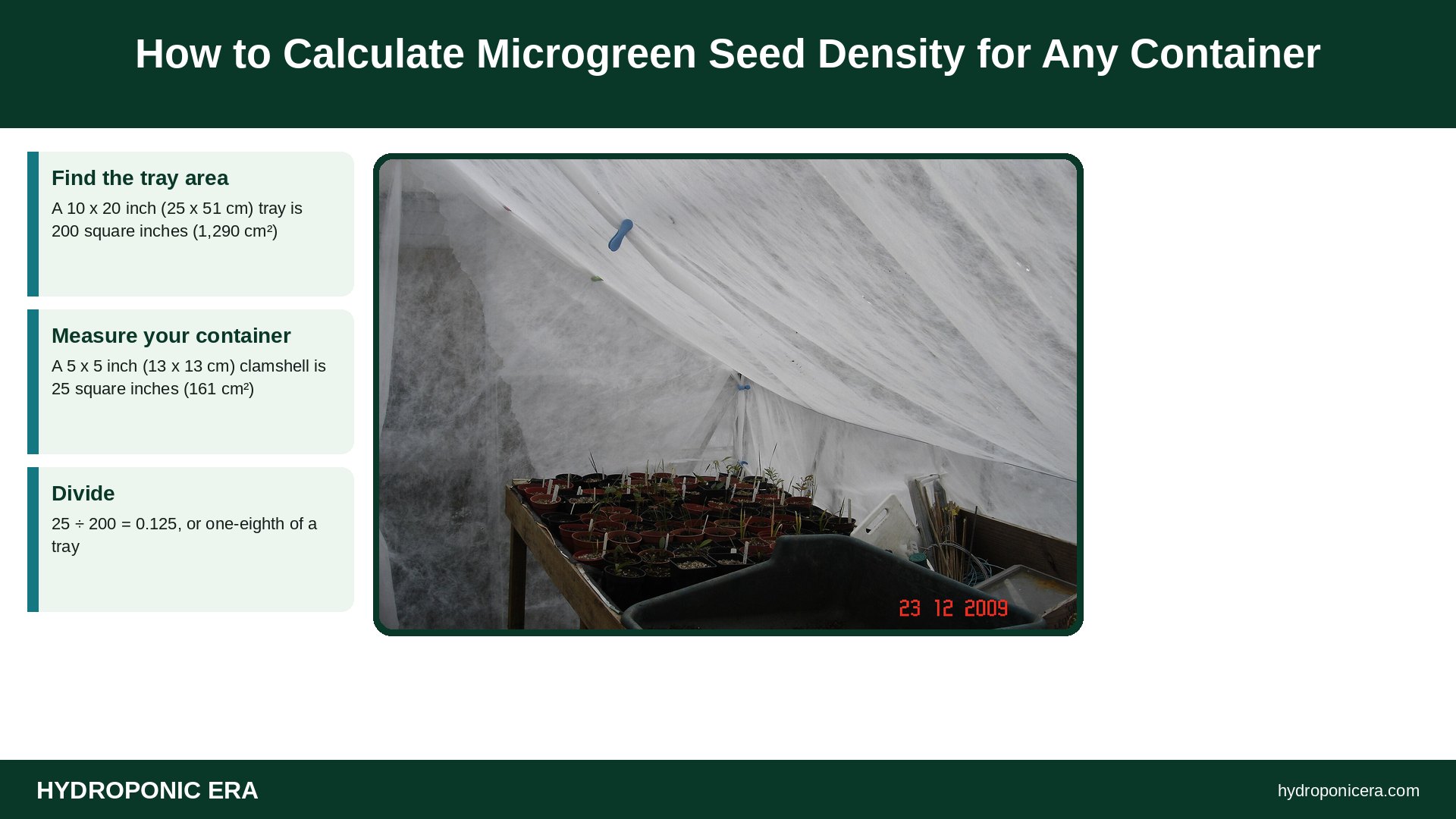 microgreen seed density — How to Calculate Microgreen Seed Density for Any Container