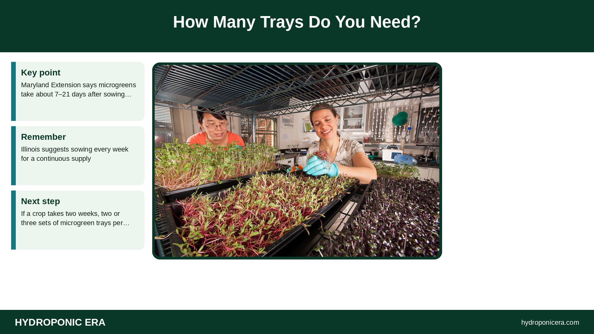 microgreen trays — How Many Trays Do You Need?
