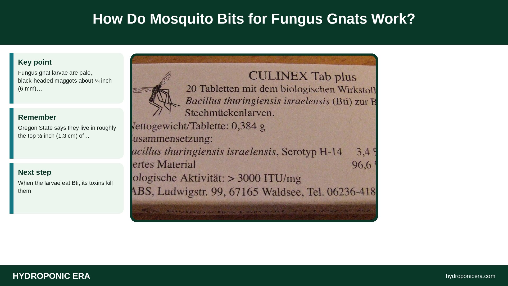mosquito bits for fungus gnats — How Do Mosquito Bits for Fungus Gnats Work?