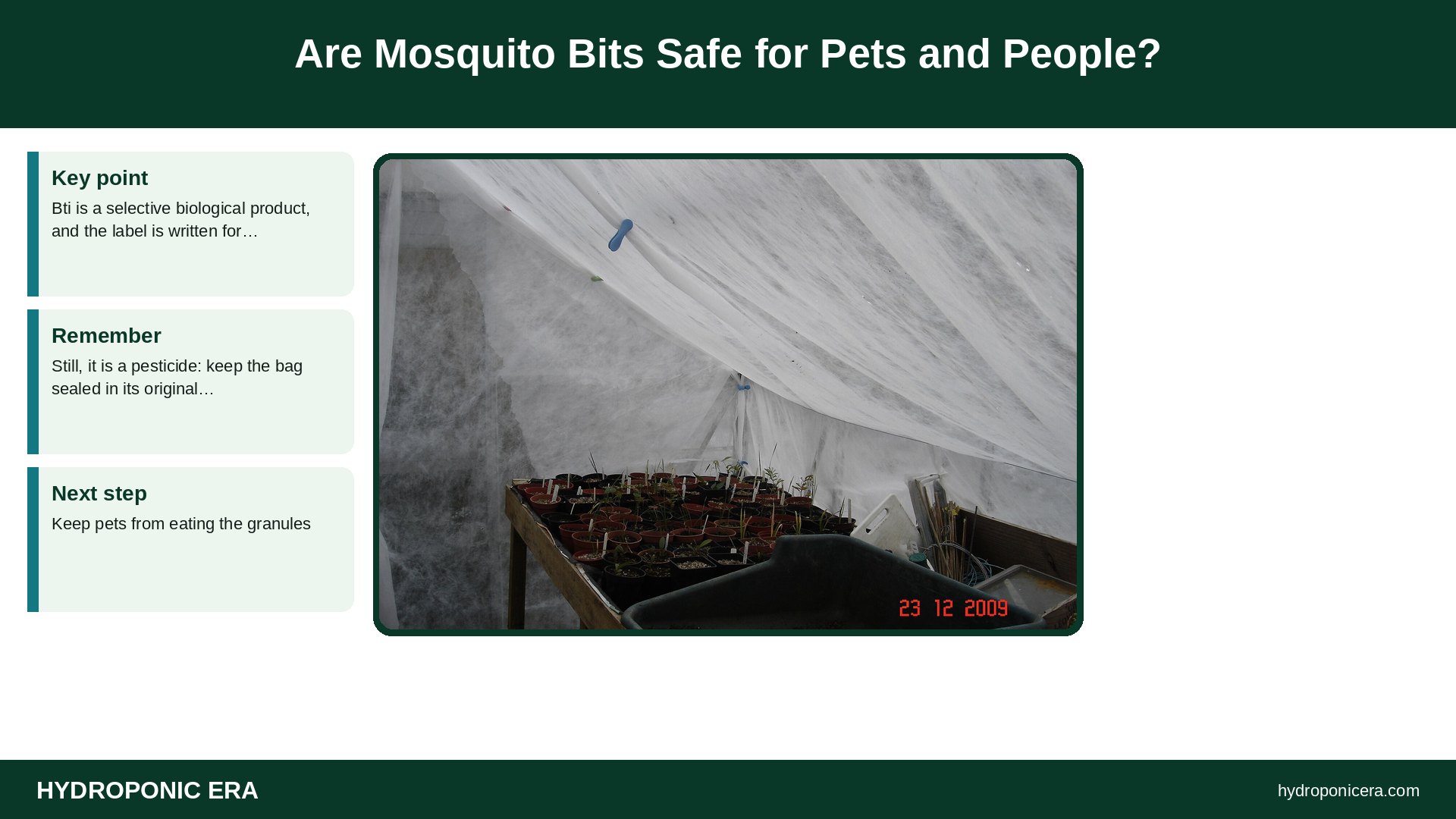 mosquito bits for fungus gnats — Are Mosquito Bits Safe for Pets and People?