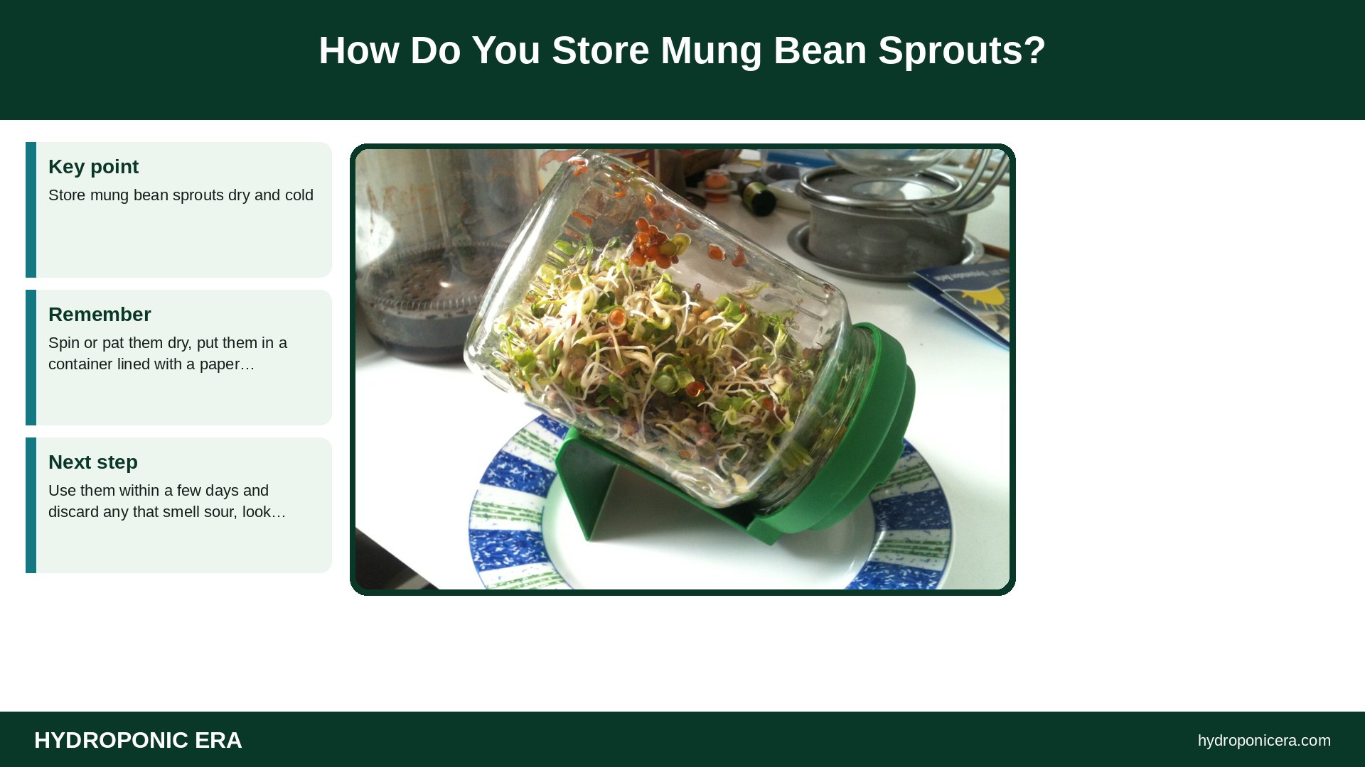 mung bean sprouts — How Do You Store Mung Bean Sprouts?