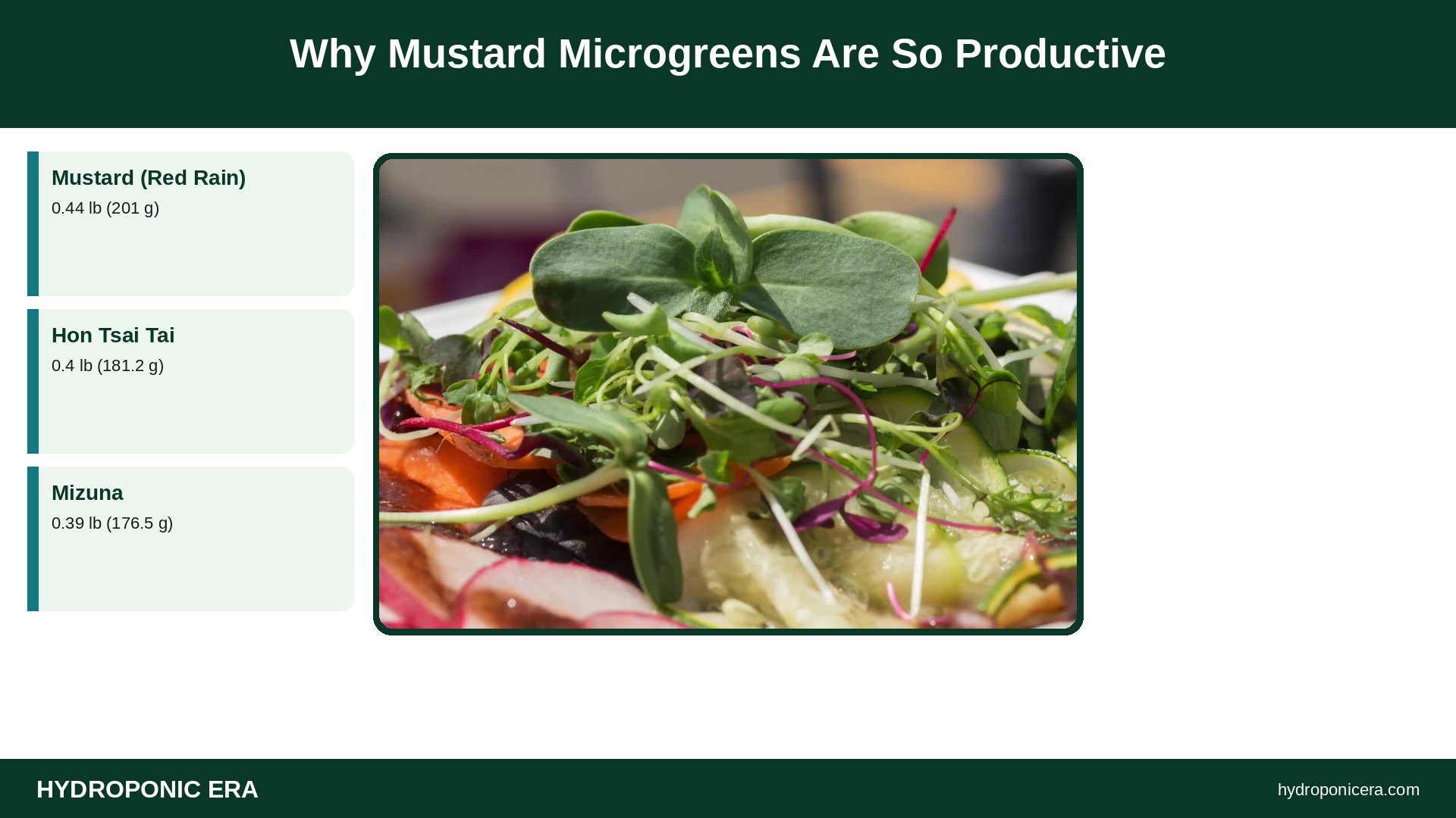 mustard microgreens — Why Mustard Microgreens Are So Productive