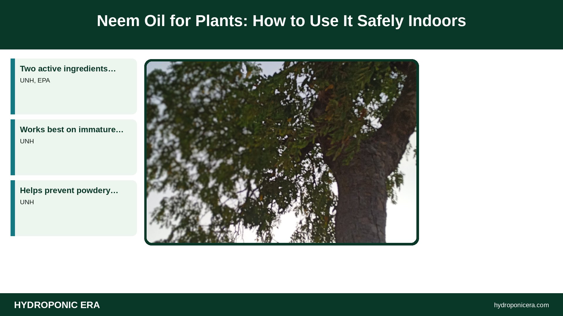 neem oil for plants — Neem Oil for Plants: How to Use It Safely Indoors