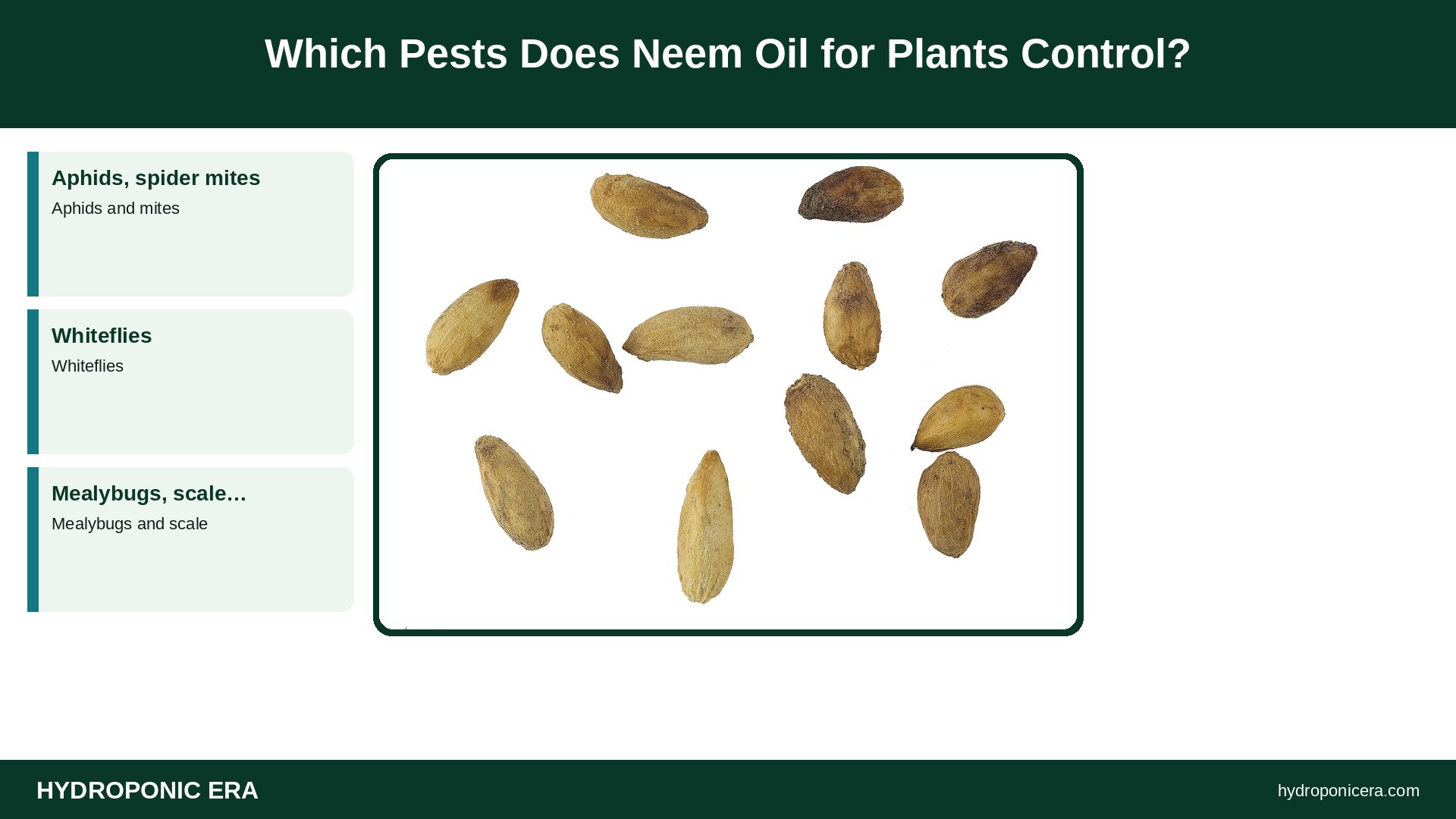 neem oil for plants — Which Pests Does Neem Oil for Plants Control?