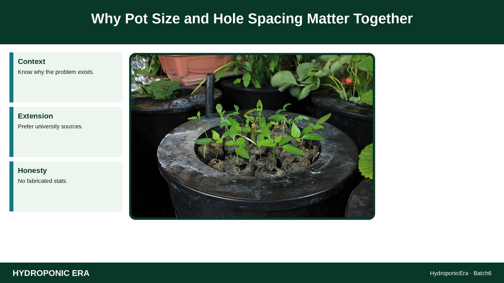 Why Pot Size and Hole Spacing Matter Together — HydroponicEra tip card graphic