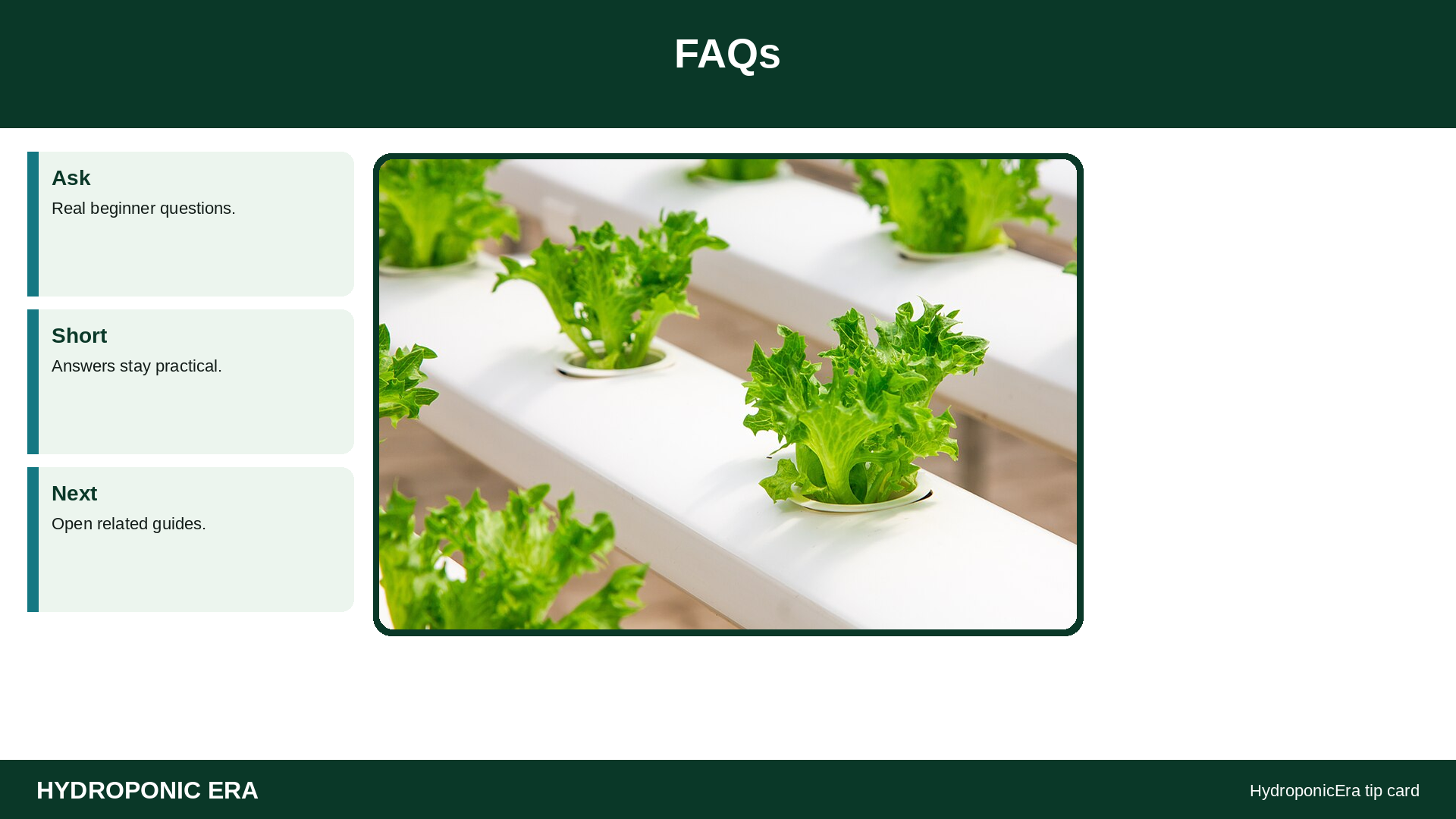 FAQs — HydroponicEra tip card graphic