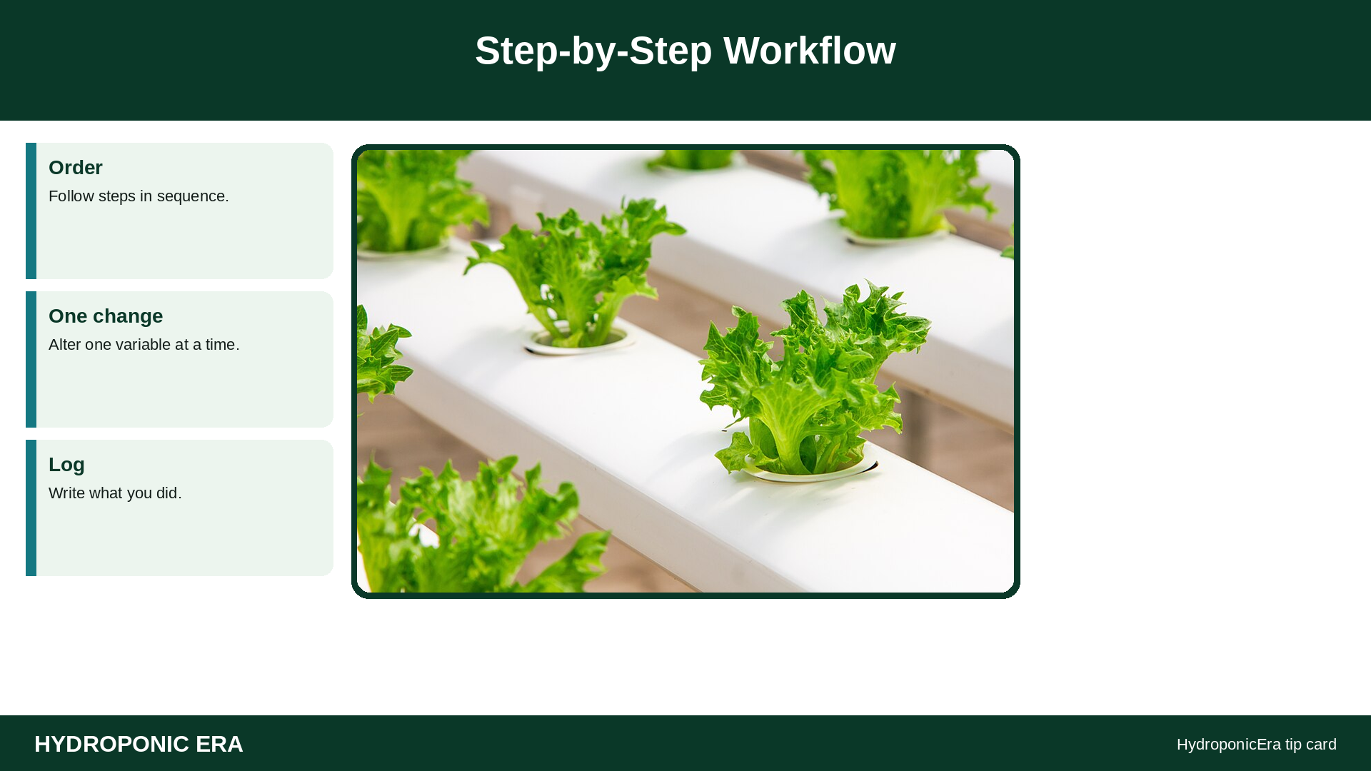 Step-by-Step Workflow — HydroponicEra tip card graphic